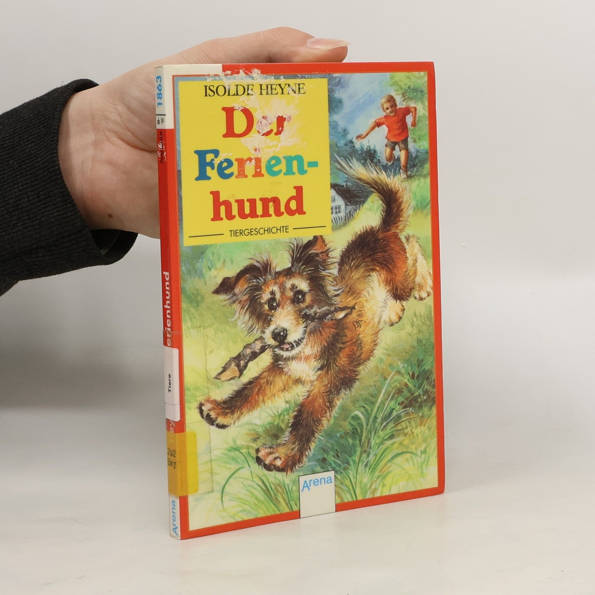 Arena Taschenbücher: Der Ferienhund