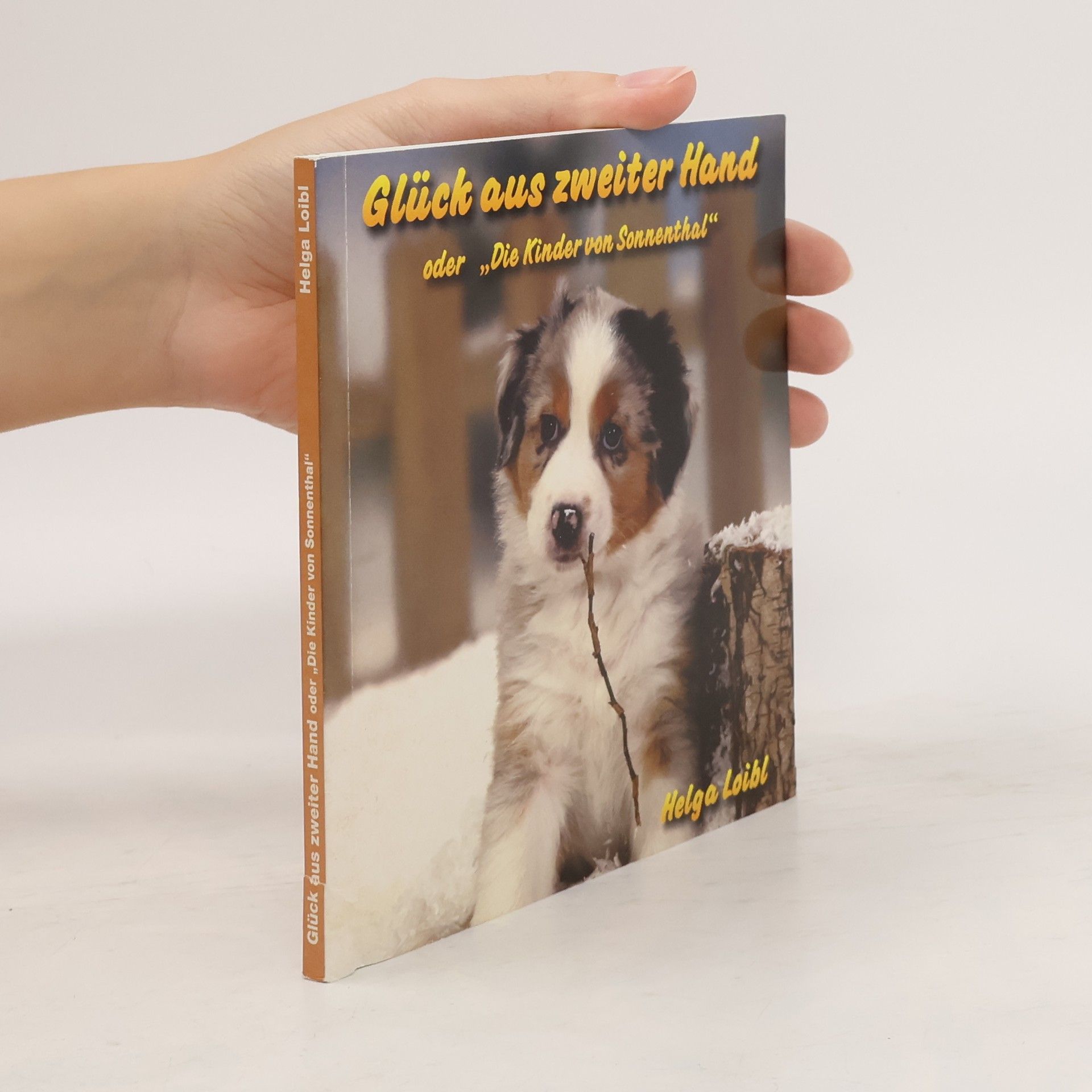 Glück aus zweiter Hand oder "Die Kinder aus Sonnenthal"