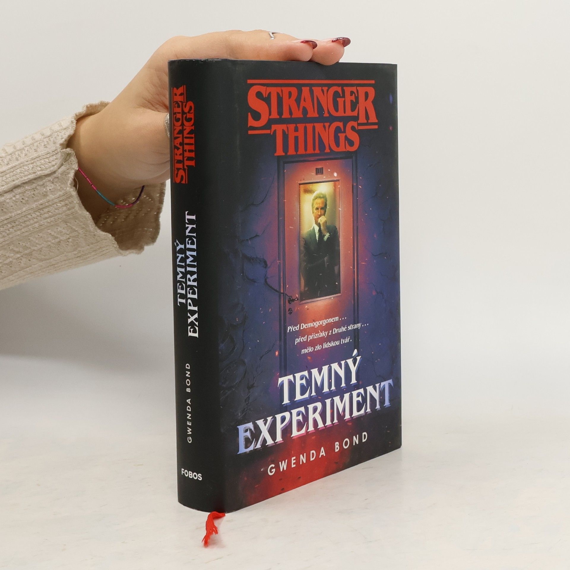 Stranger Things. Temný experiment