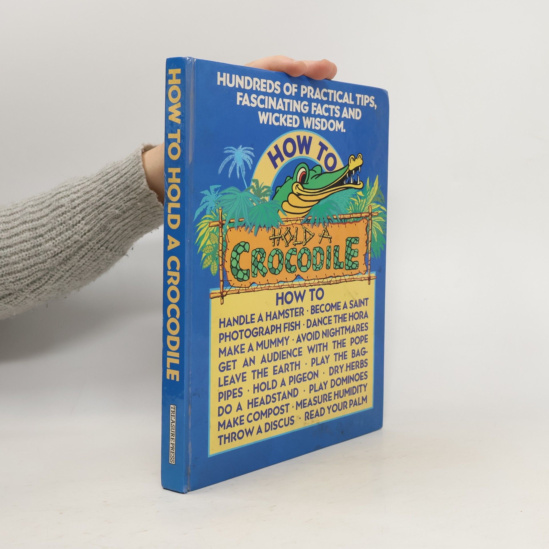 Autores varios How to Hold a Crocodile