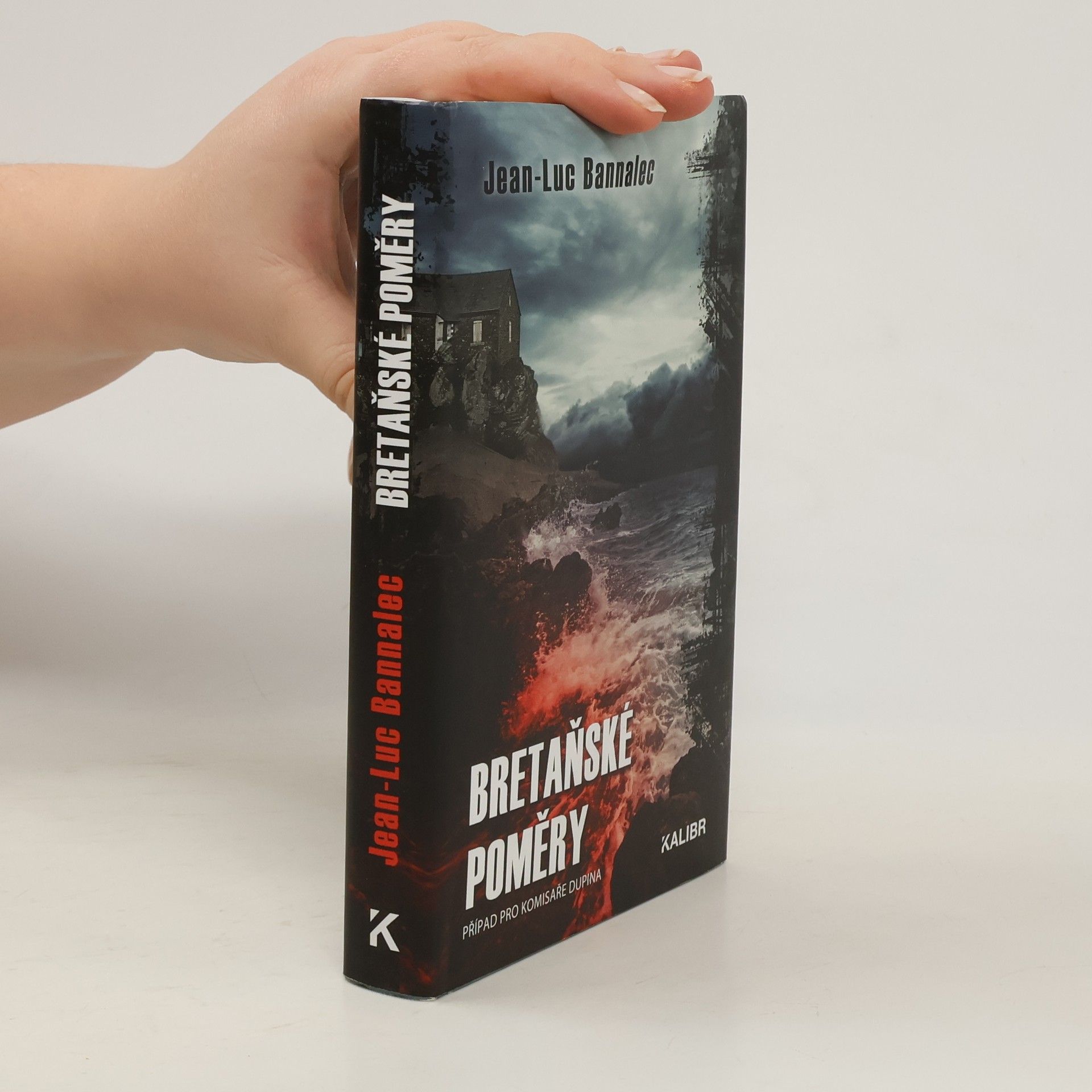 Jörg Bong Bretaňské poměry : případ pro komisaře Dupina