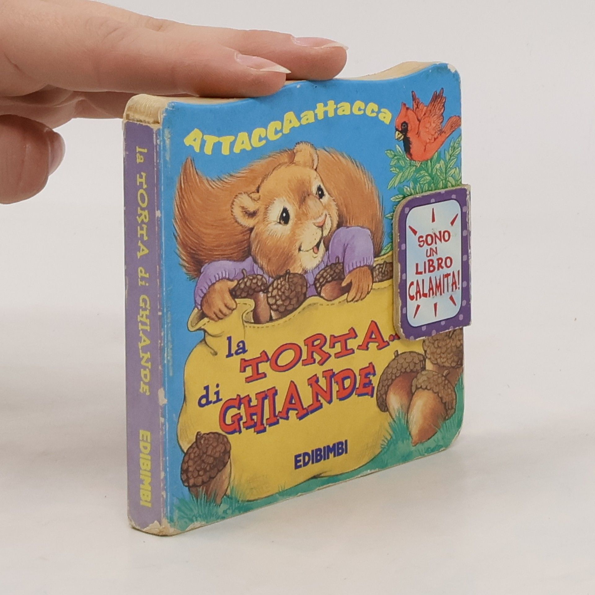 Autorenkollektiv La torta di ghiande. Ediz. illustrata