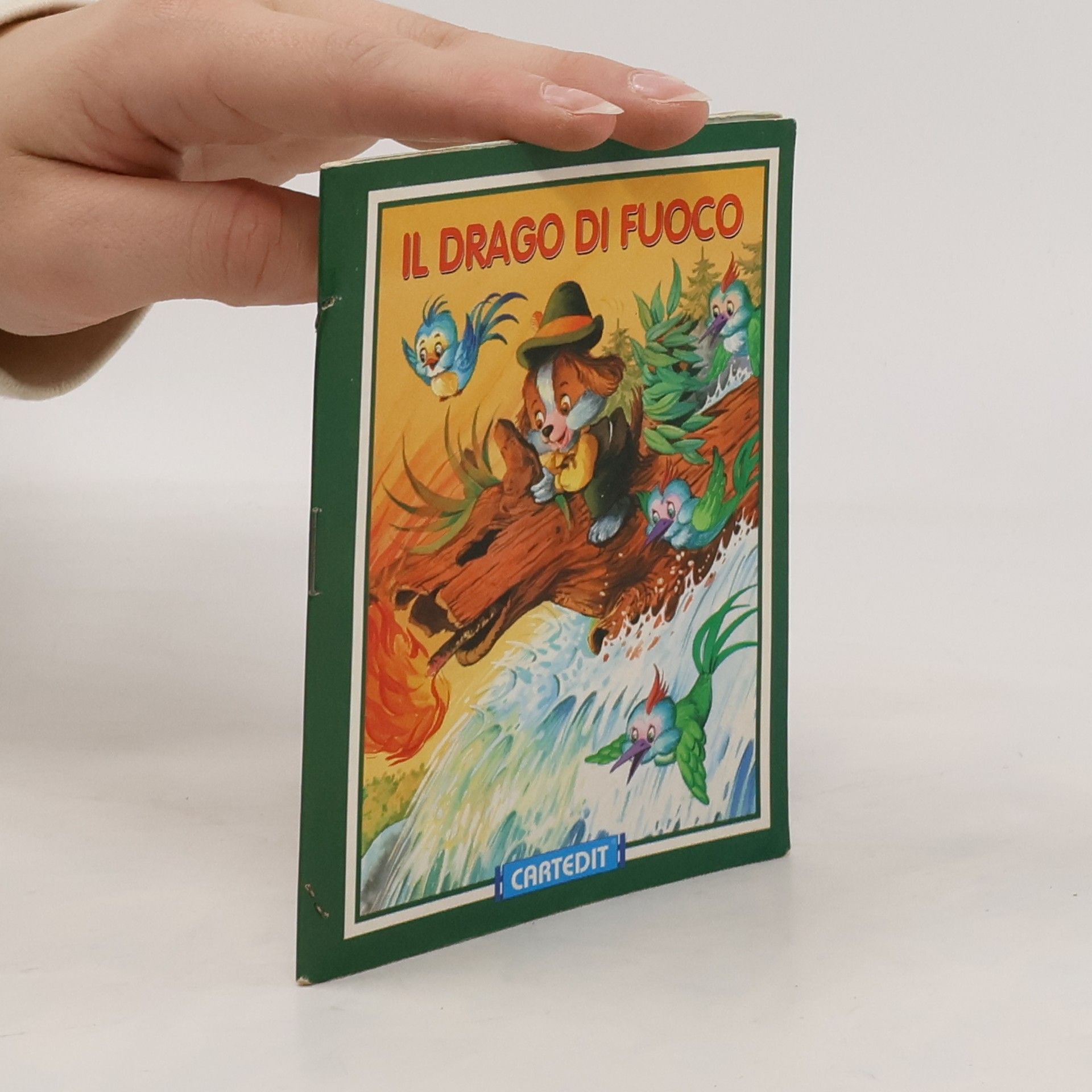 AA.VV. Il drago di fuoco