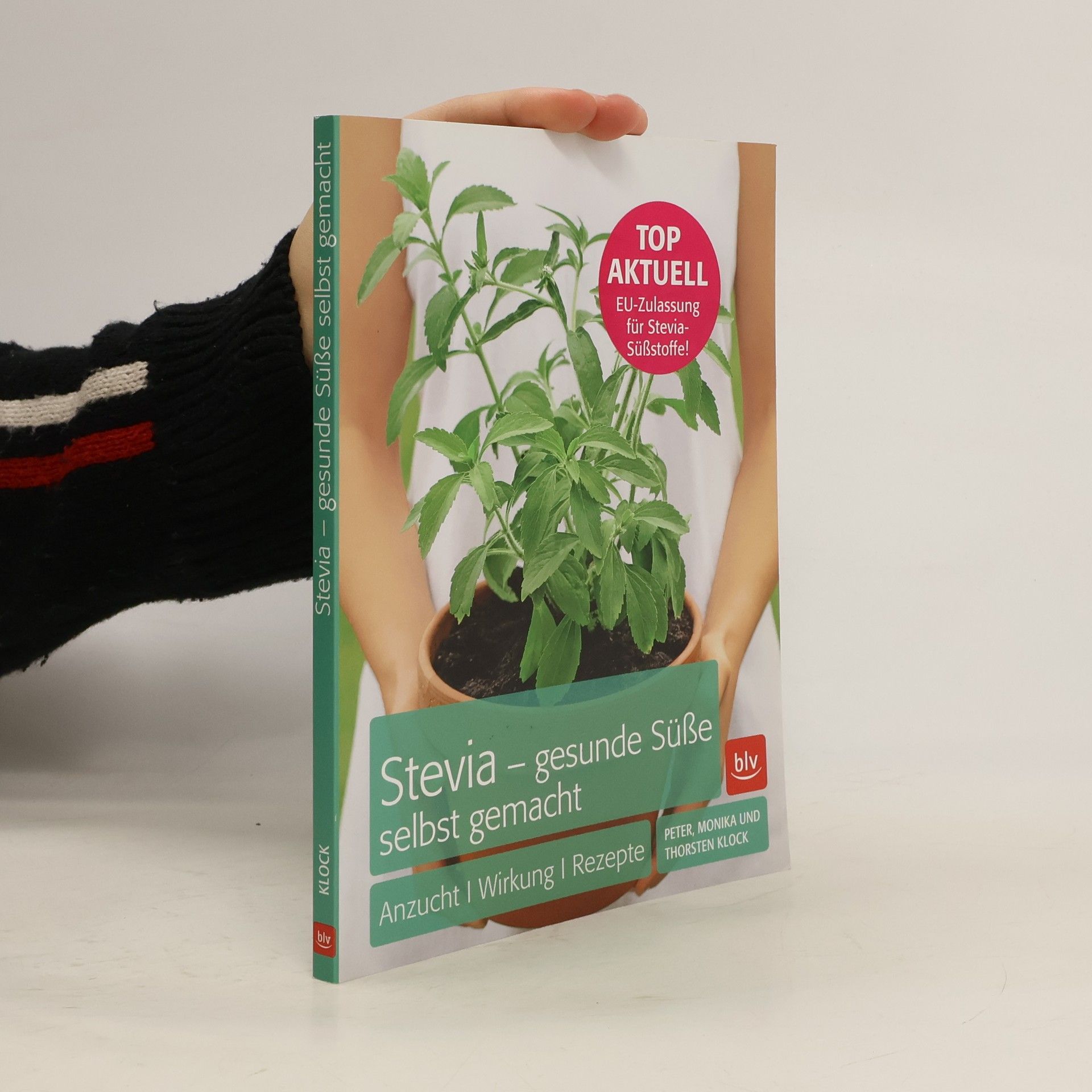 Stevia - gesunde Süße selbst gemacht