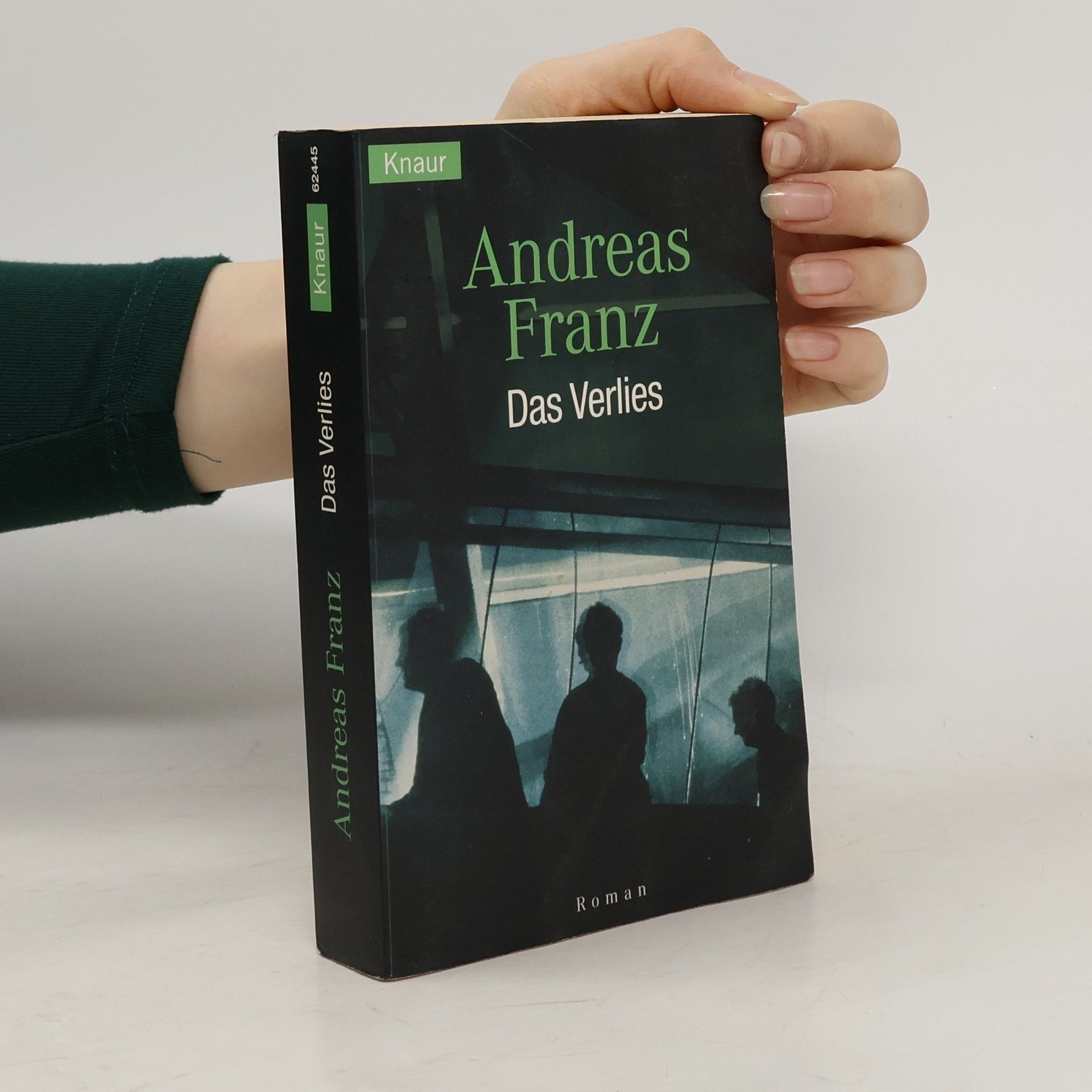 Andreas Franz Das Verlies