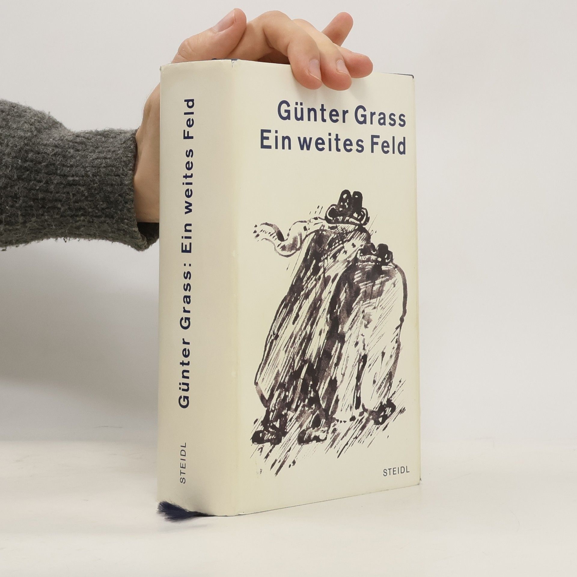 Günter Grass Ein weites Feld