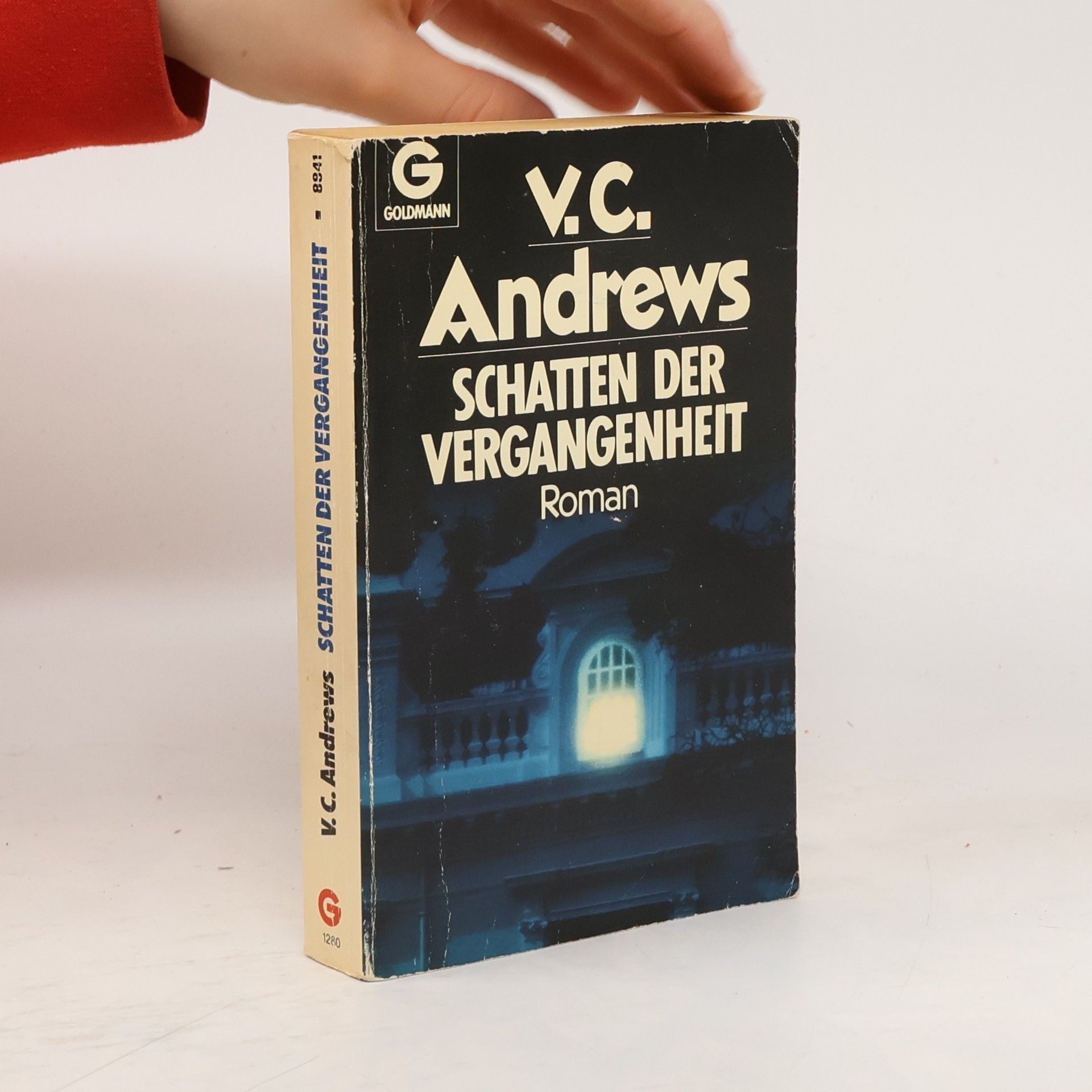 Schatten der Vergangenheit (doppelt ISBN)