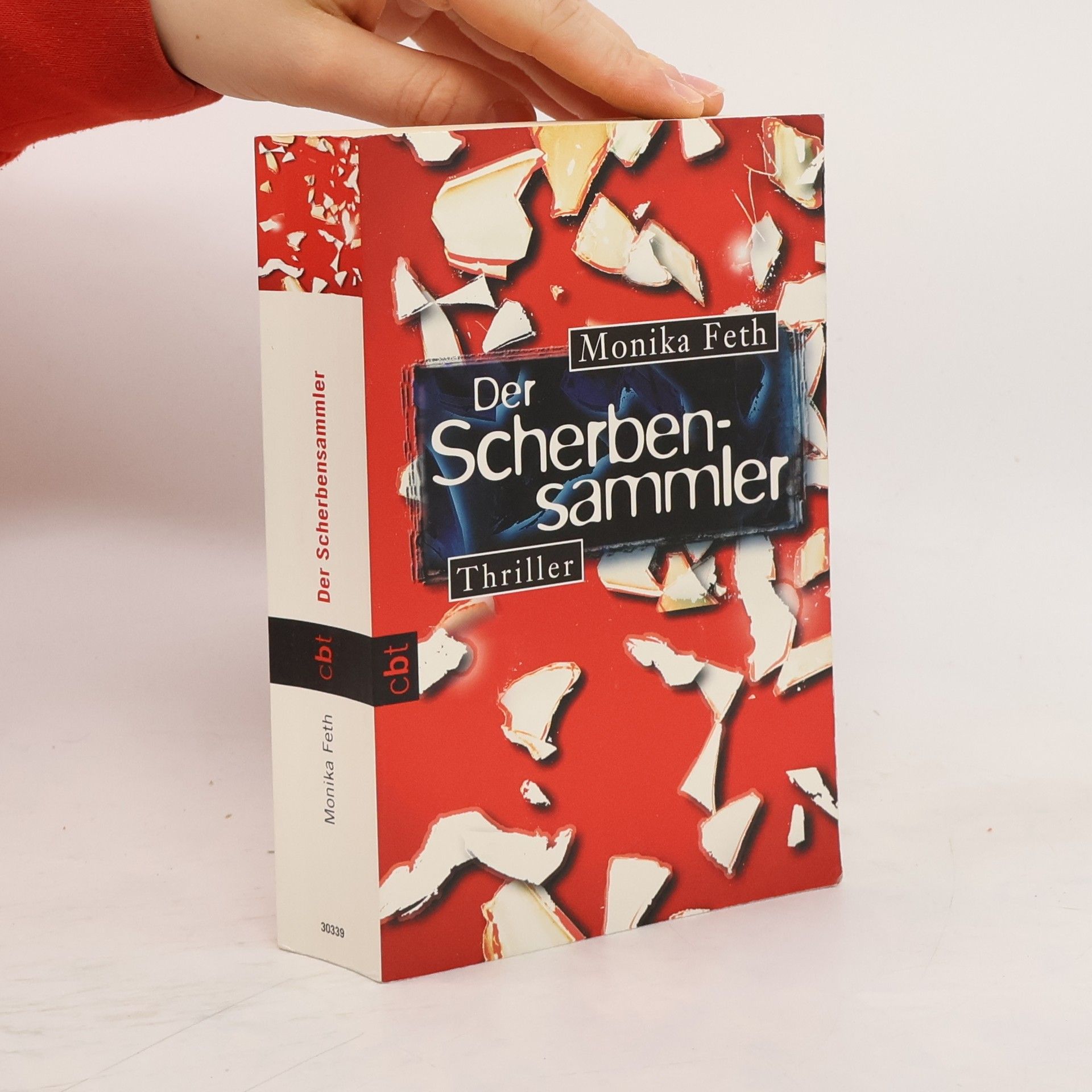Monika Feth Der Scherbensammler