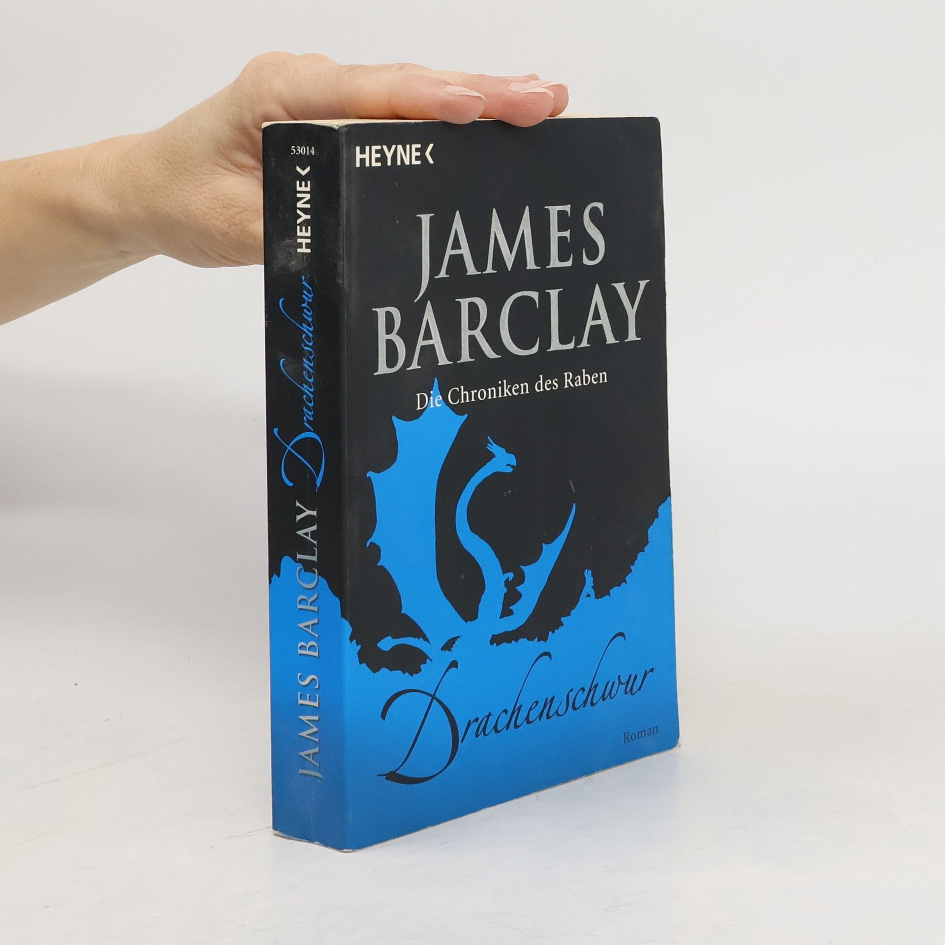 Die Chroniken des Raben