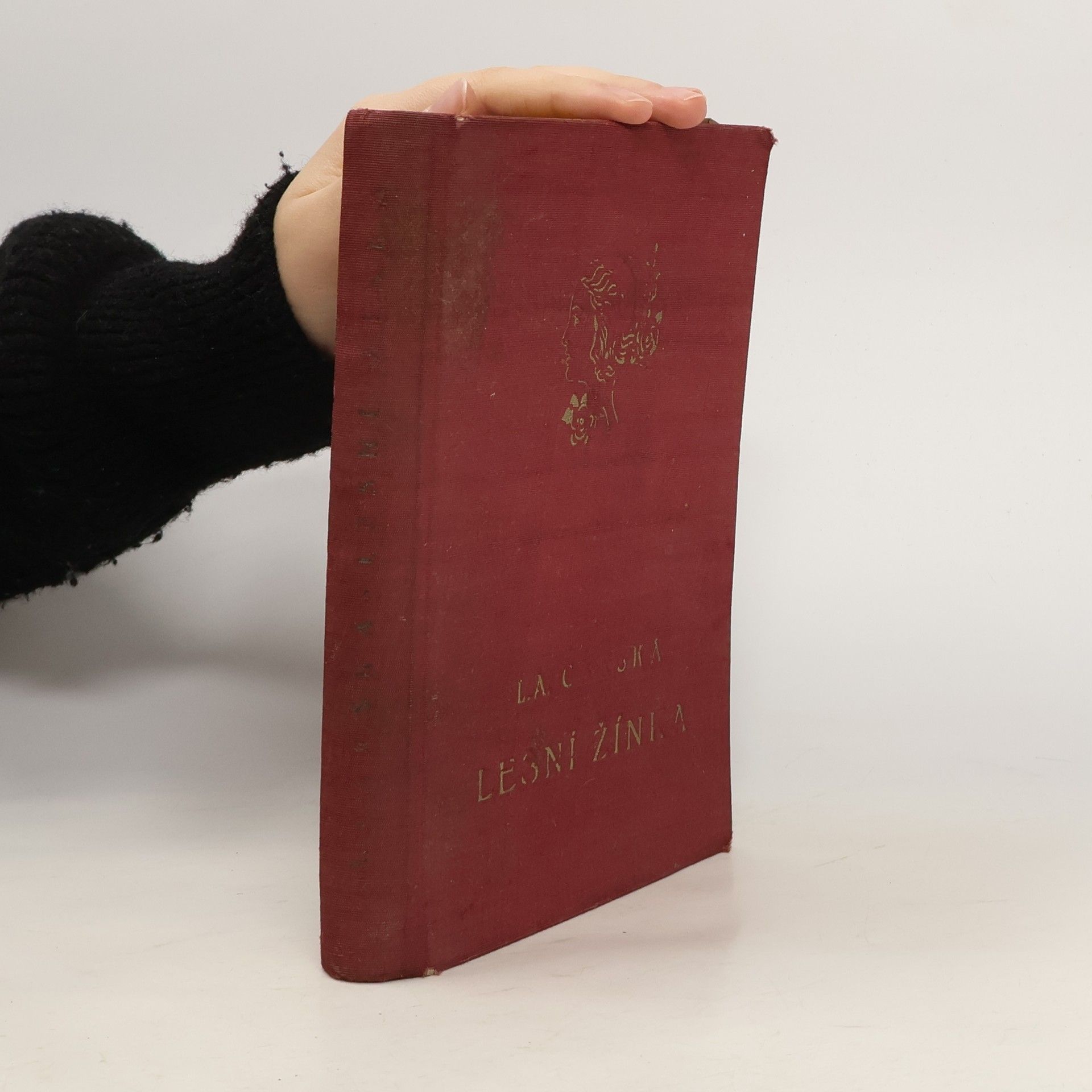 Lidija Aleksejevna Čarskaja Lesní žínka