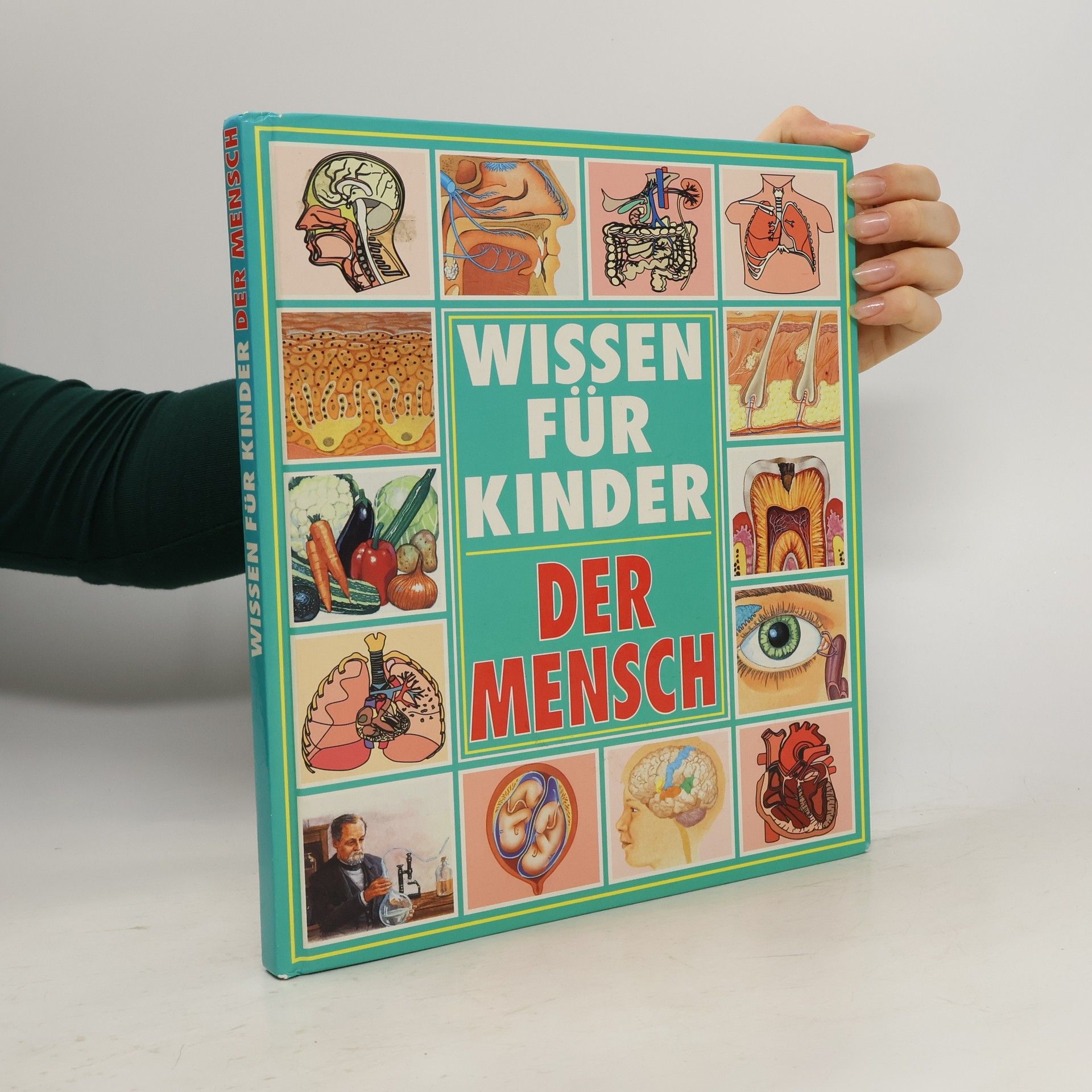 Wissen für Kinder. Der Mensch