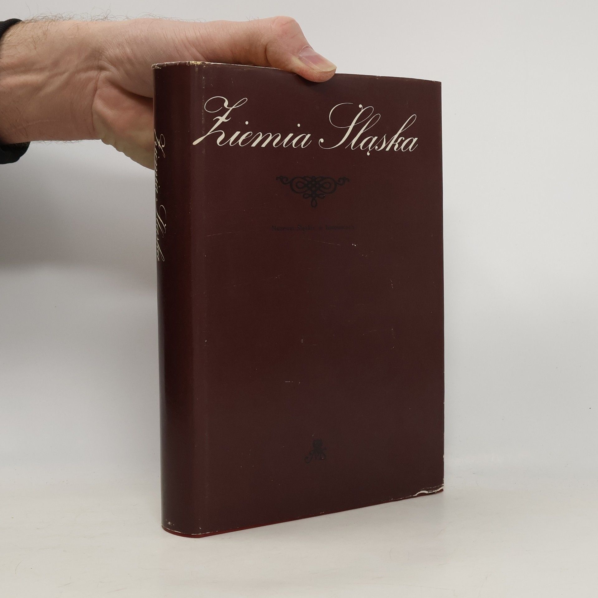 Collectif d'auteurs Ziemia Śląska