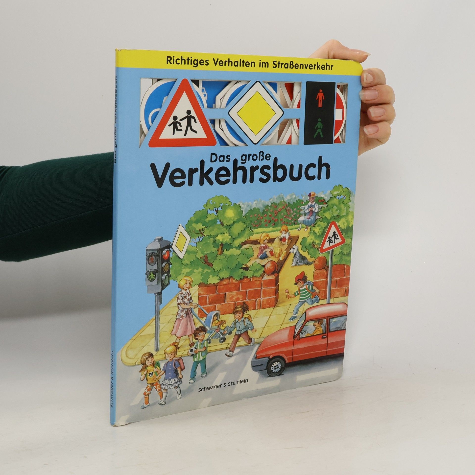 Kolektív autorov Das große Verkehrsbuch