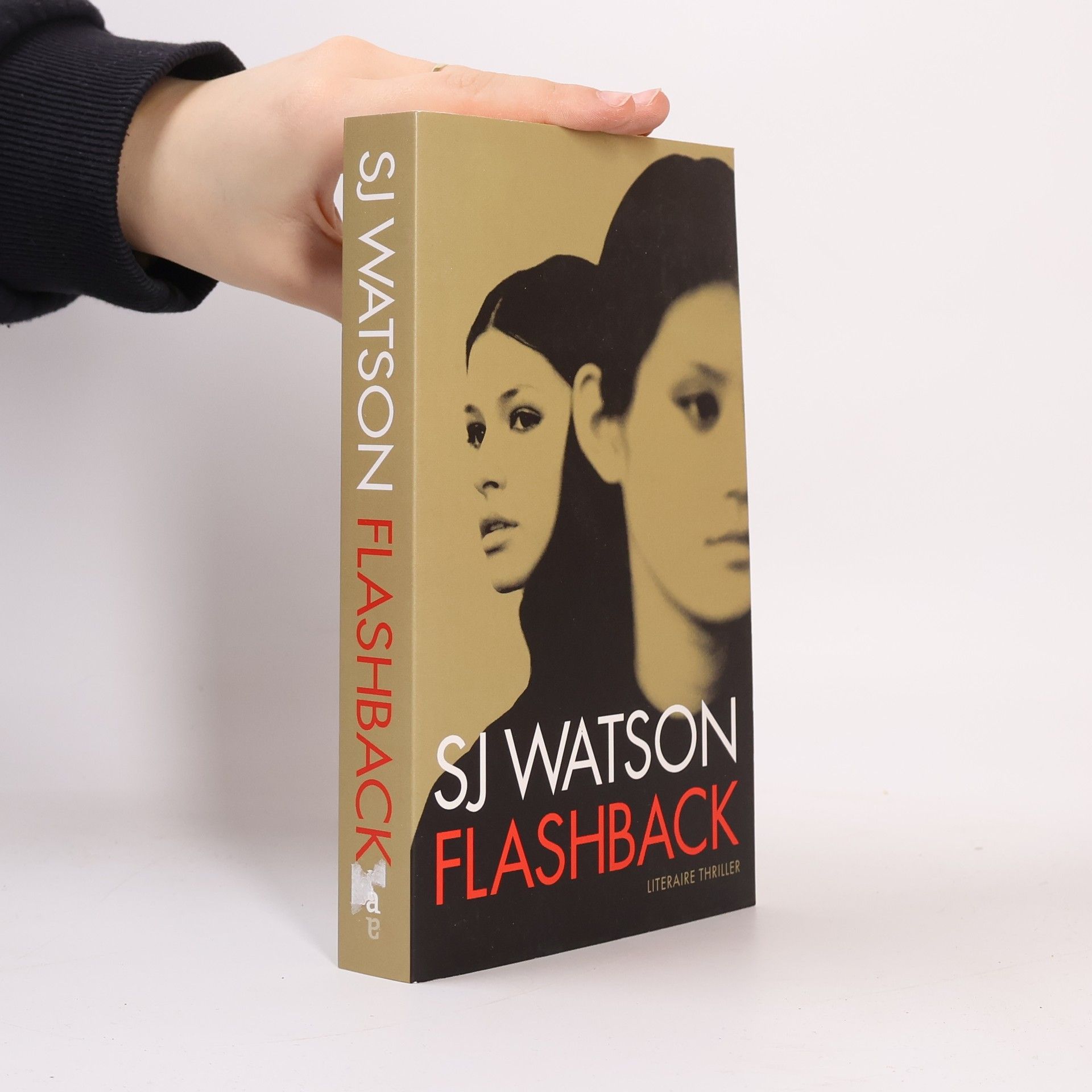 S. J. Watson Flashback