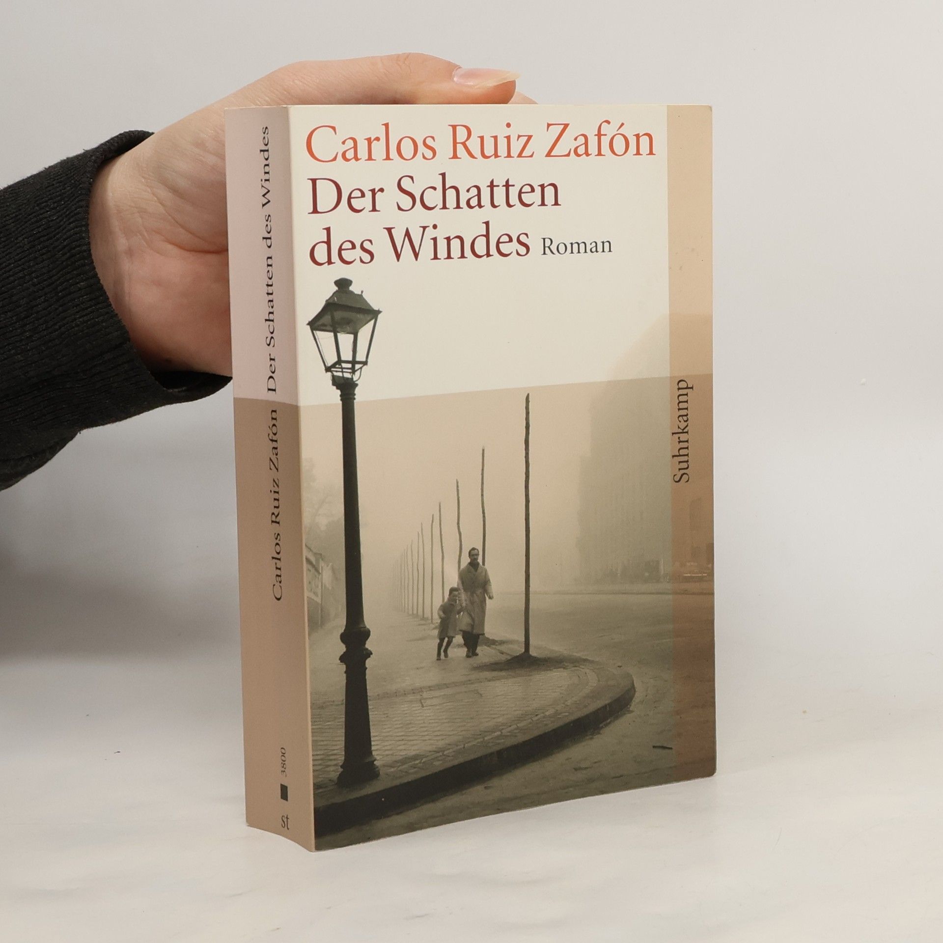 Carlos Ruiz Zafón Der Schatten des Windes