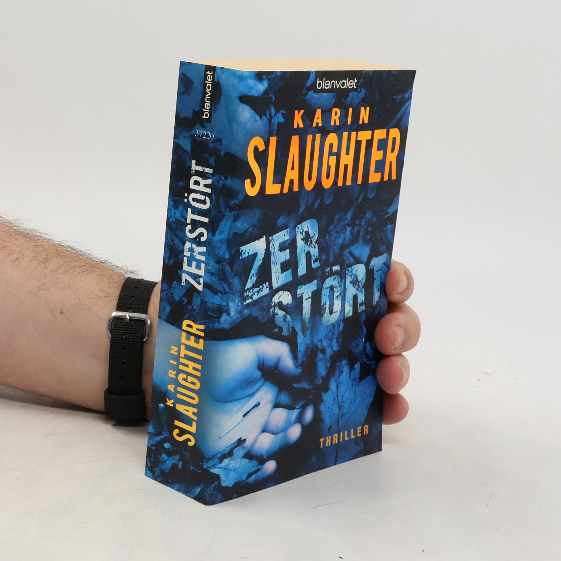 Karin Slaughter Zerstört