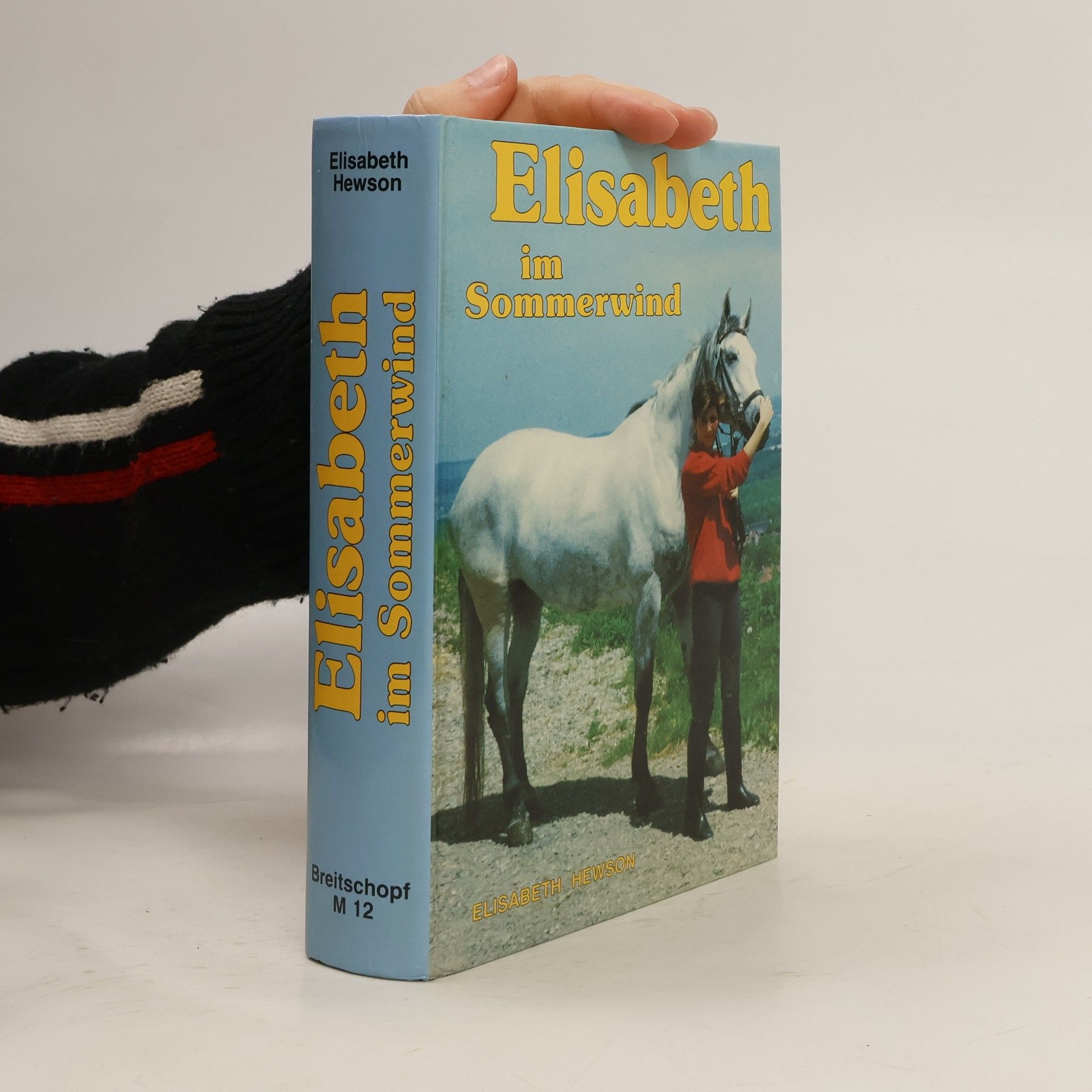 Elisabeth Hewson Elisabeth im Sommerwind