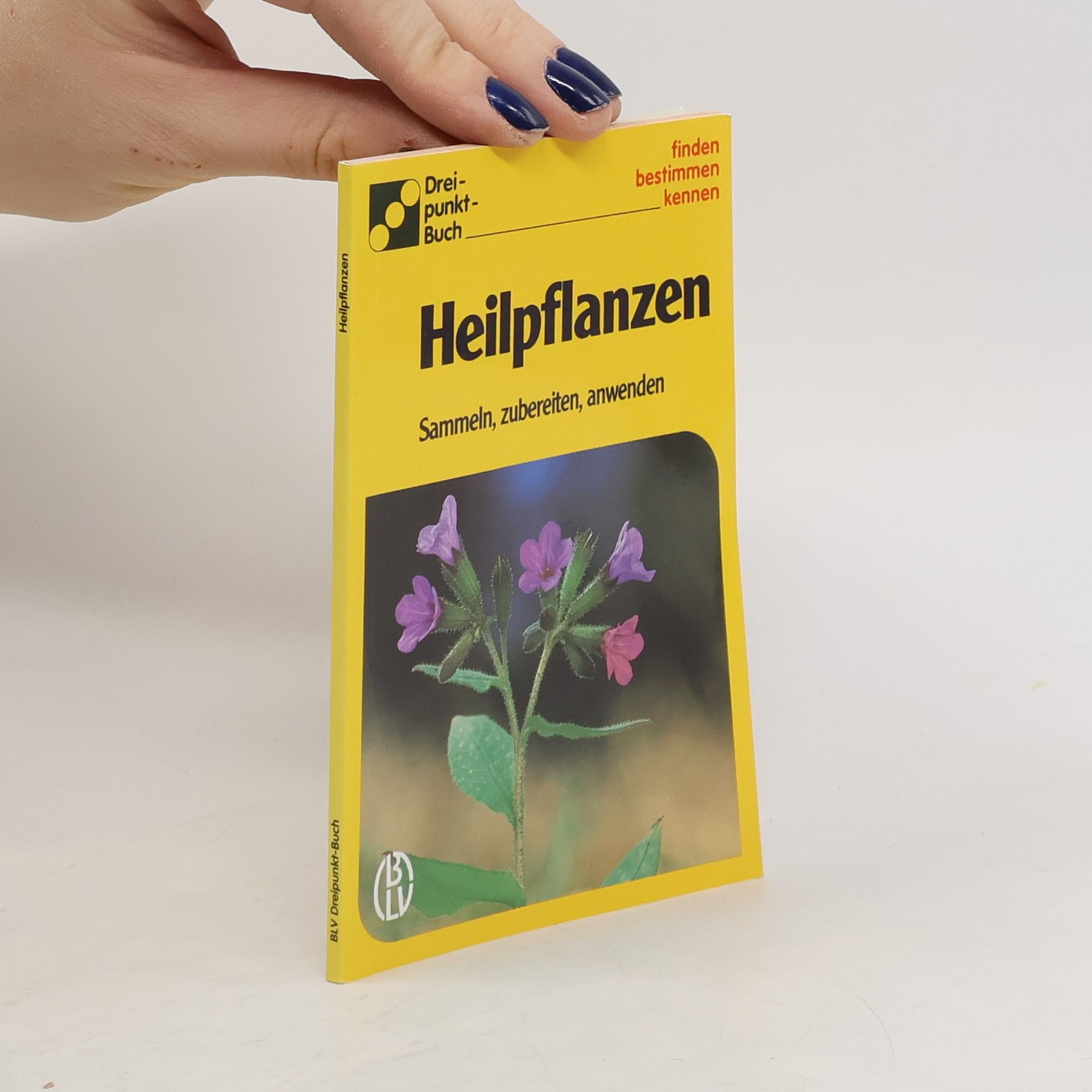 Autorenkollektiv Heilpflanzen