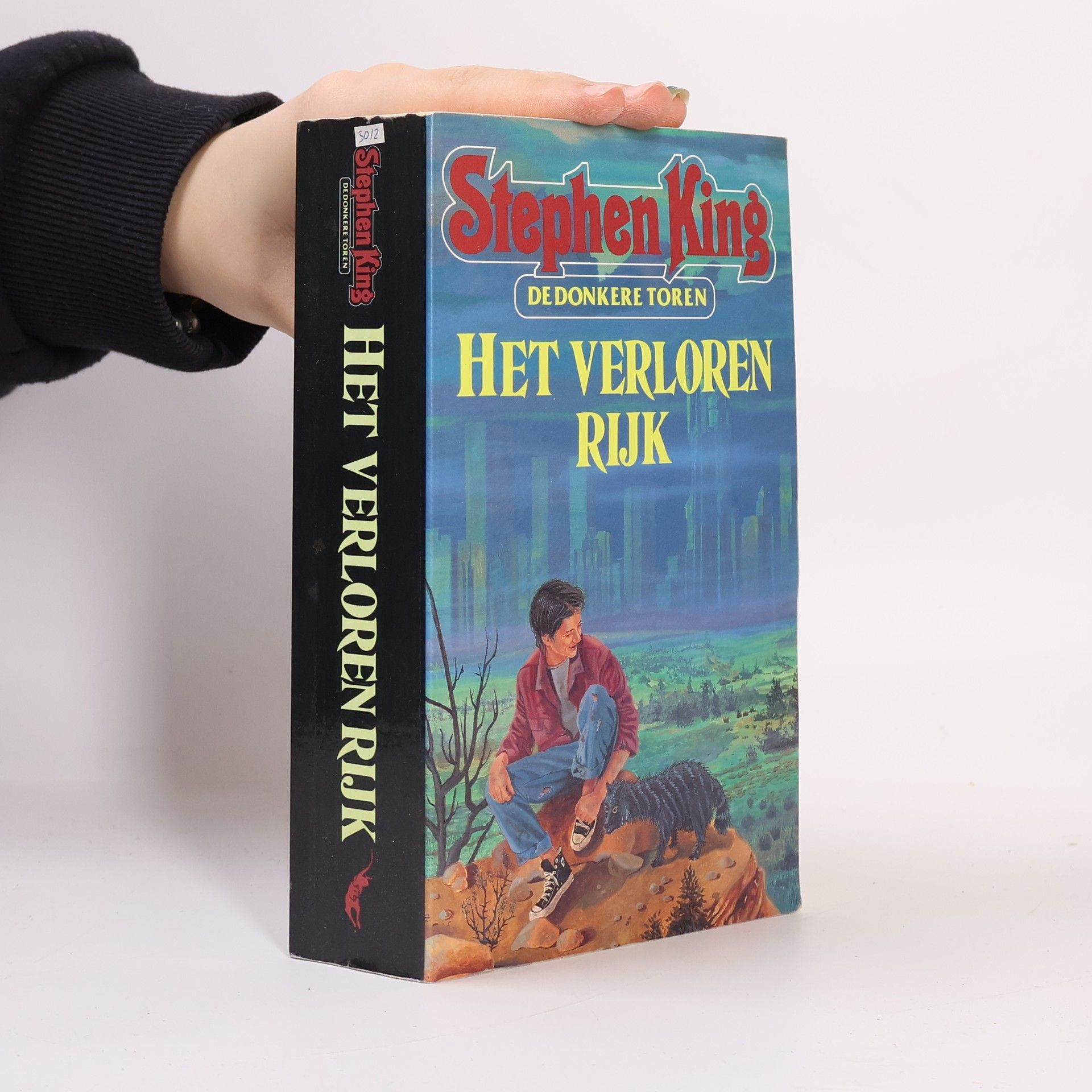 Stephen King De Donkere Toren - 3: Het verloren rijk