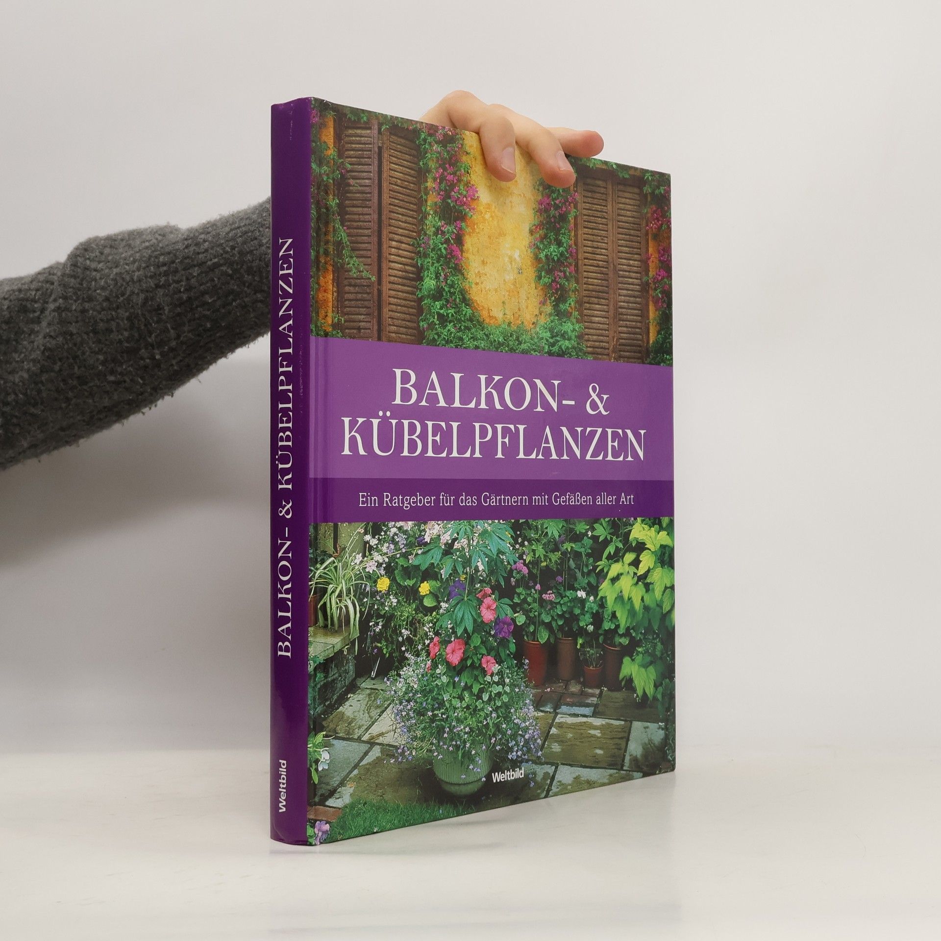 Autorenkollektiv Balkon- und Kübelpflanzen
