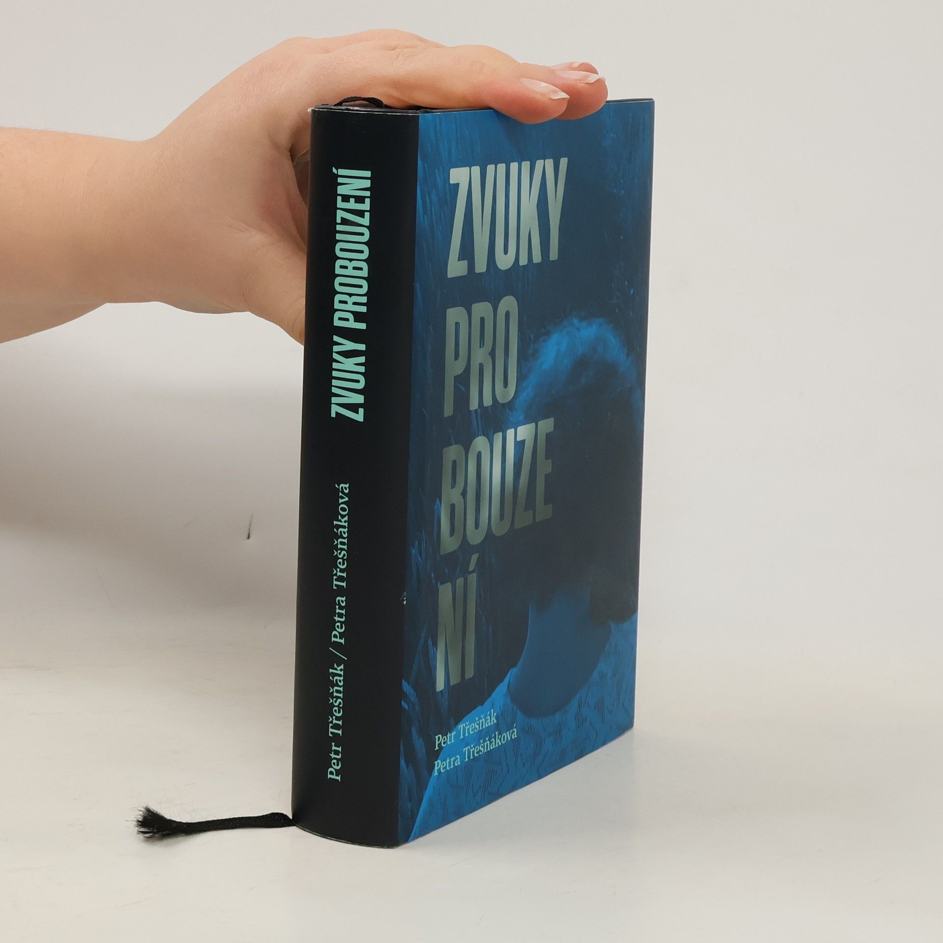 Petr Třešňák Zvuky probouzení