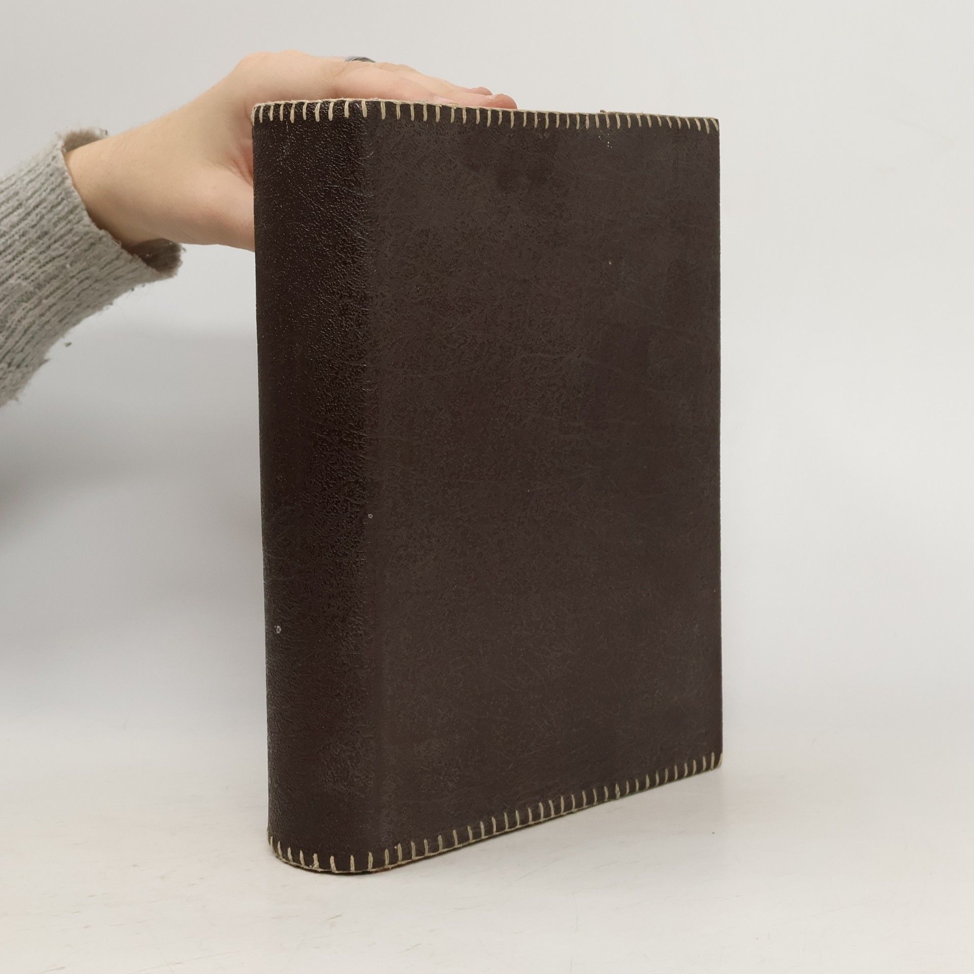 Sebastian Kneipp Kneippova velekniha domácí a přírodní léčby: rádce pro zdravé i nemocné