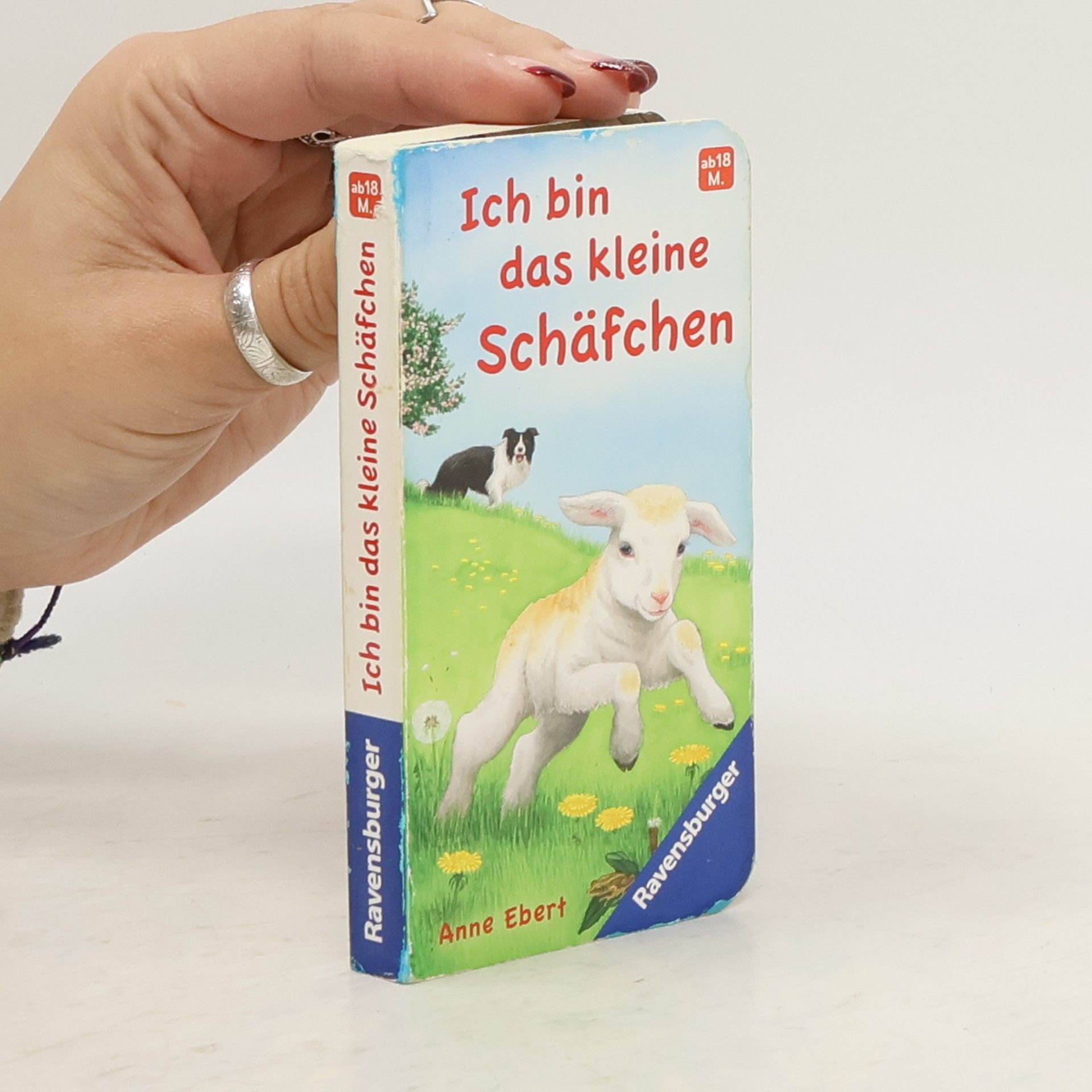 Hannelore Dierks Ich bin das kleine Schäfchen