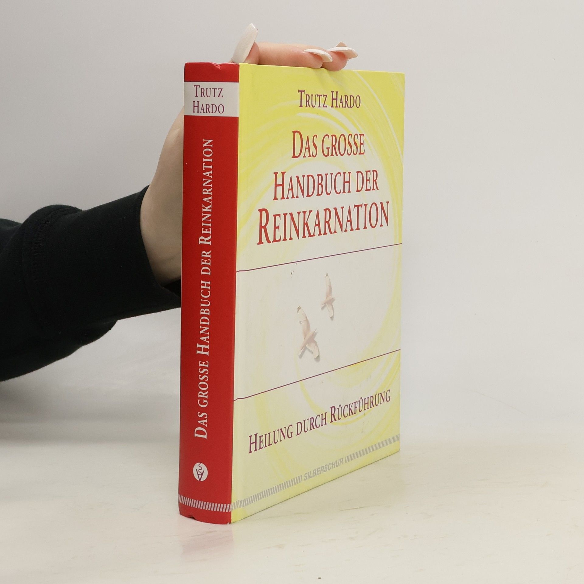 Das große Handbuch der Reinkarnation