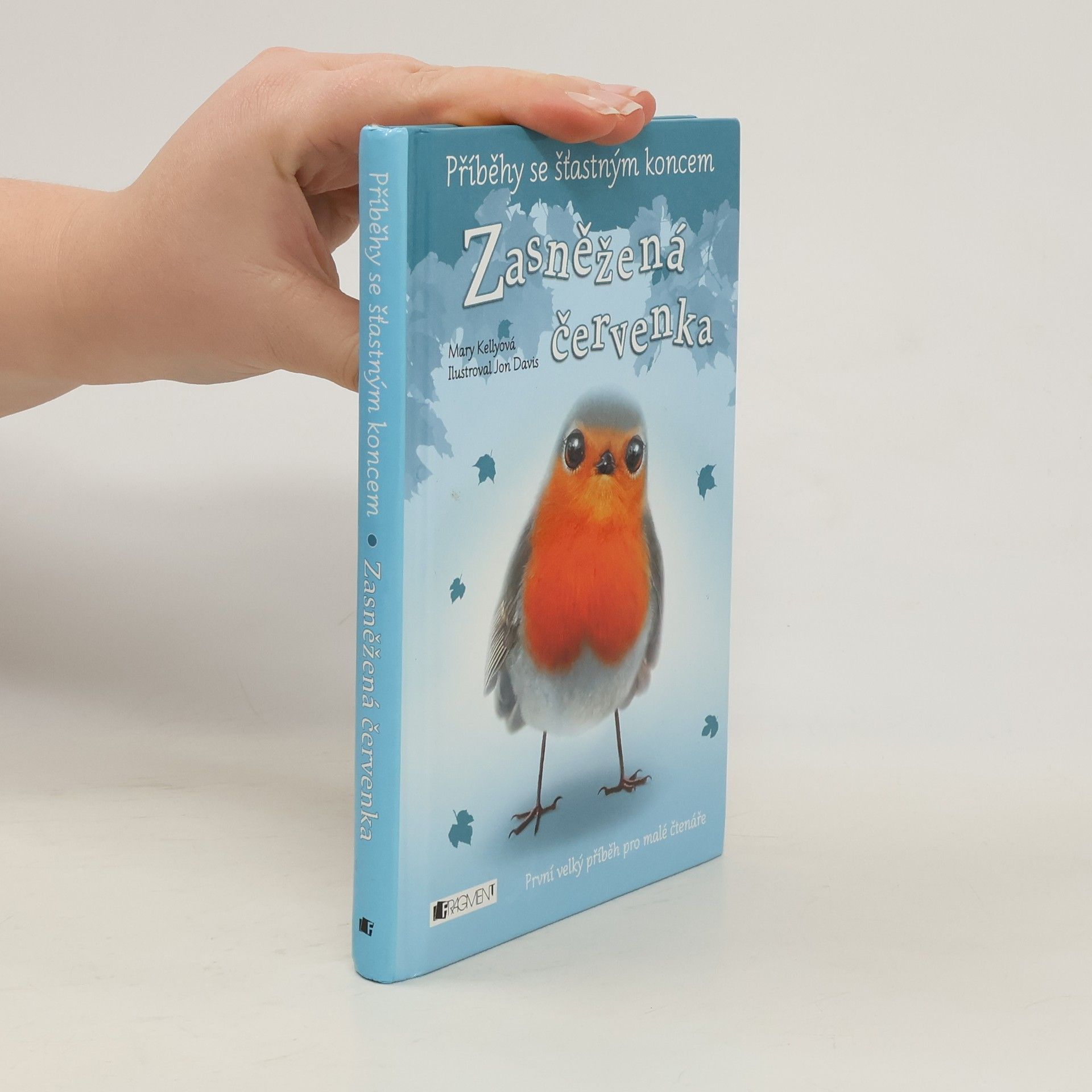 Mary Kelly Zasněžená červenka