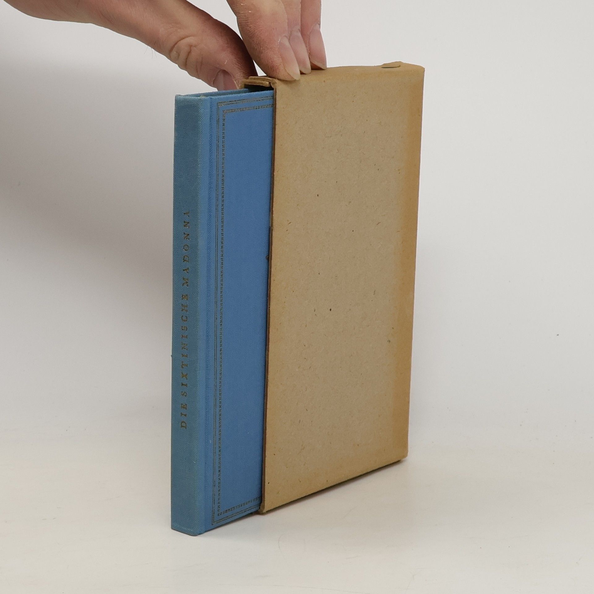 Kolektív autorov Raffaels Sixtinische Madonna