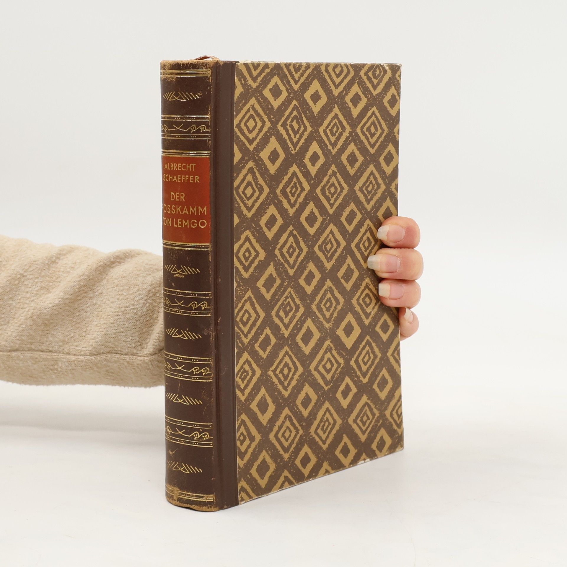 Albrecht Schaeffer Der Roßkamm von Lemgo