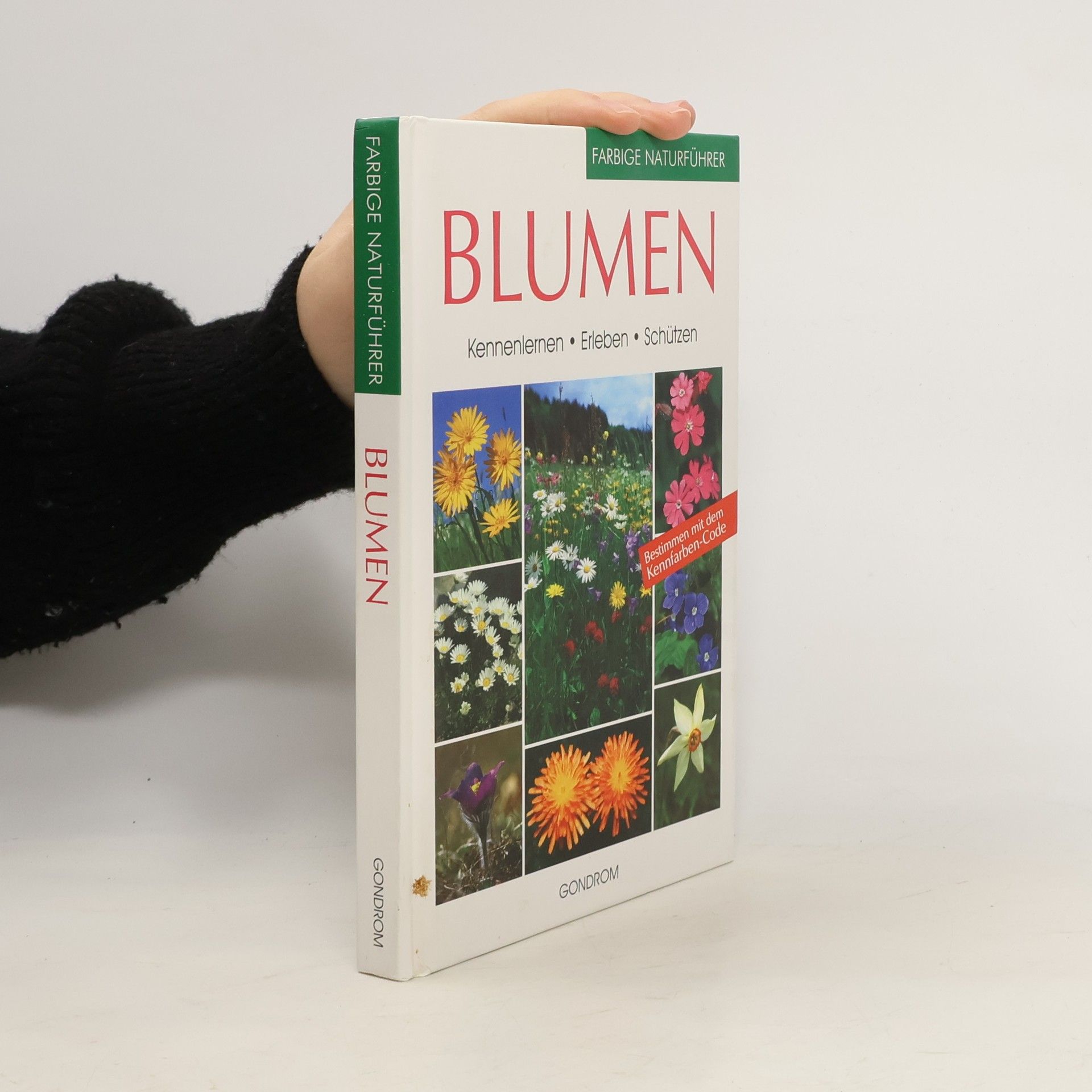 Bruno P. Kremer Blumen