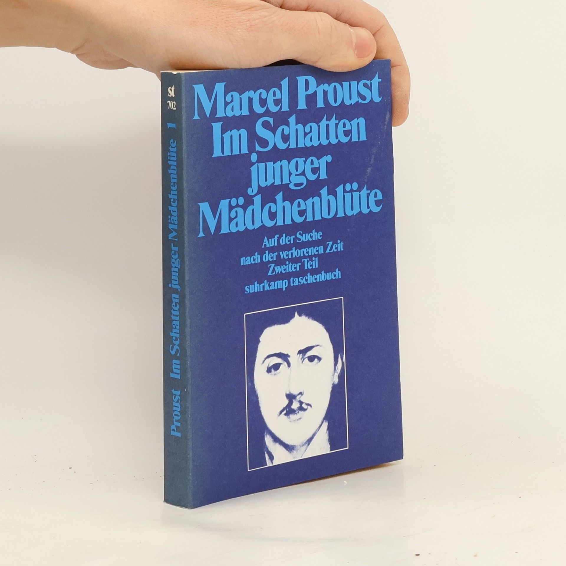 Im Schatten junger Mädchenblüte. Auf der Suche nach der verlorenen Zeit