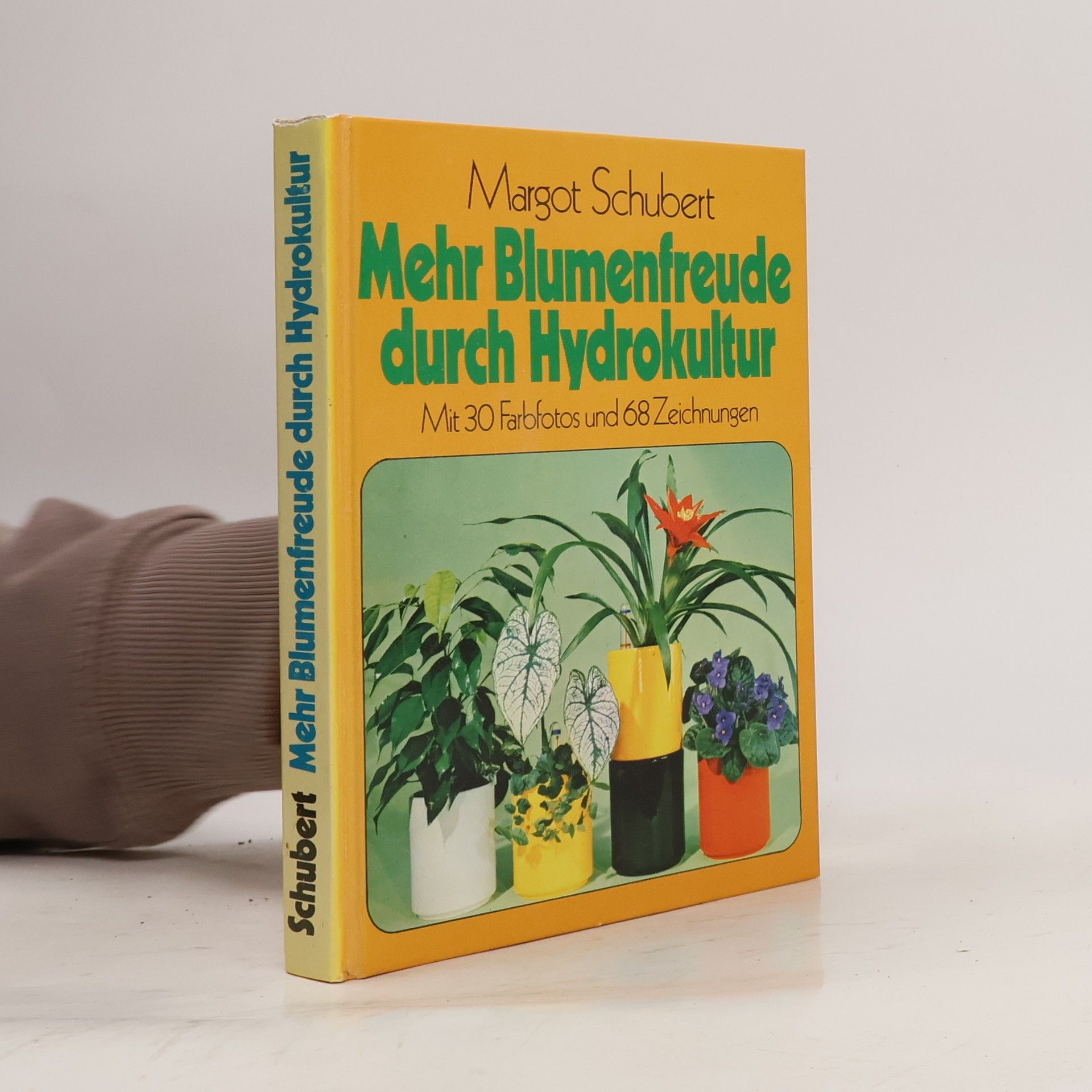 Margot Schubert Mehr Blumenfreude durch Hydrokultur