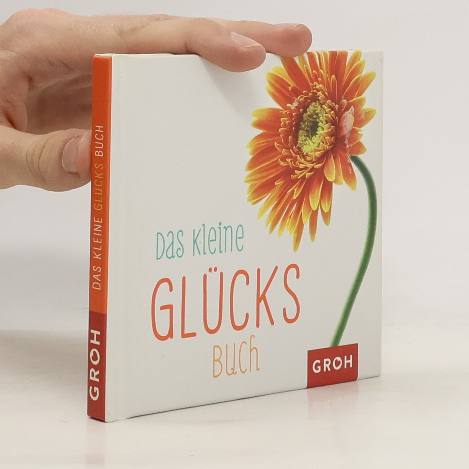 Kolektiv autorů Das kleine Glücksbuch