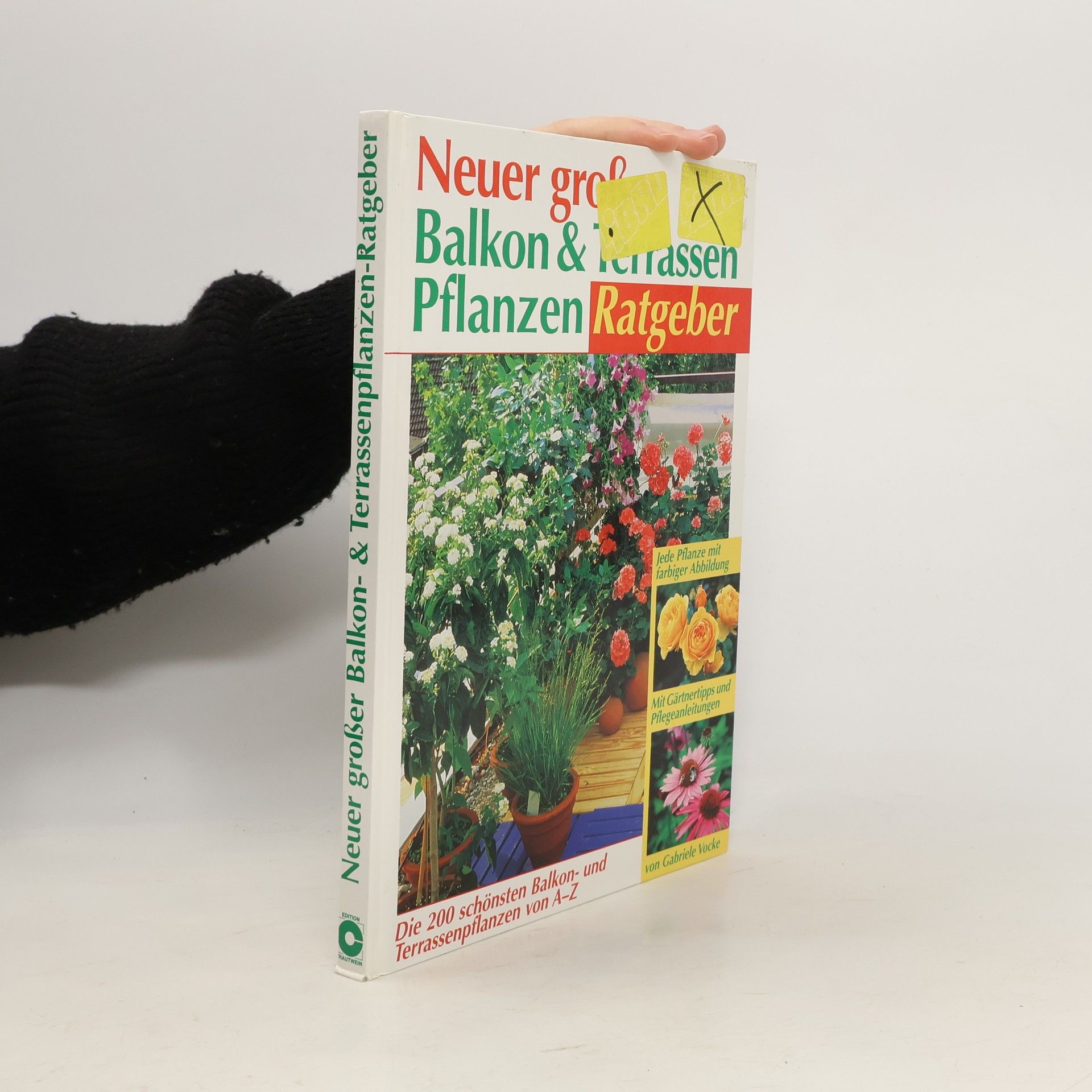 Neuer grosser Balkon- und Terrassenpflanzen-Ratgeber