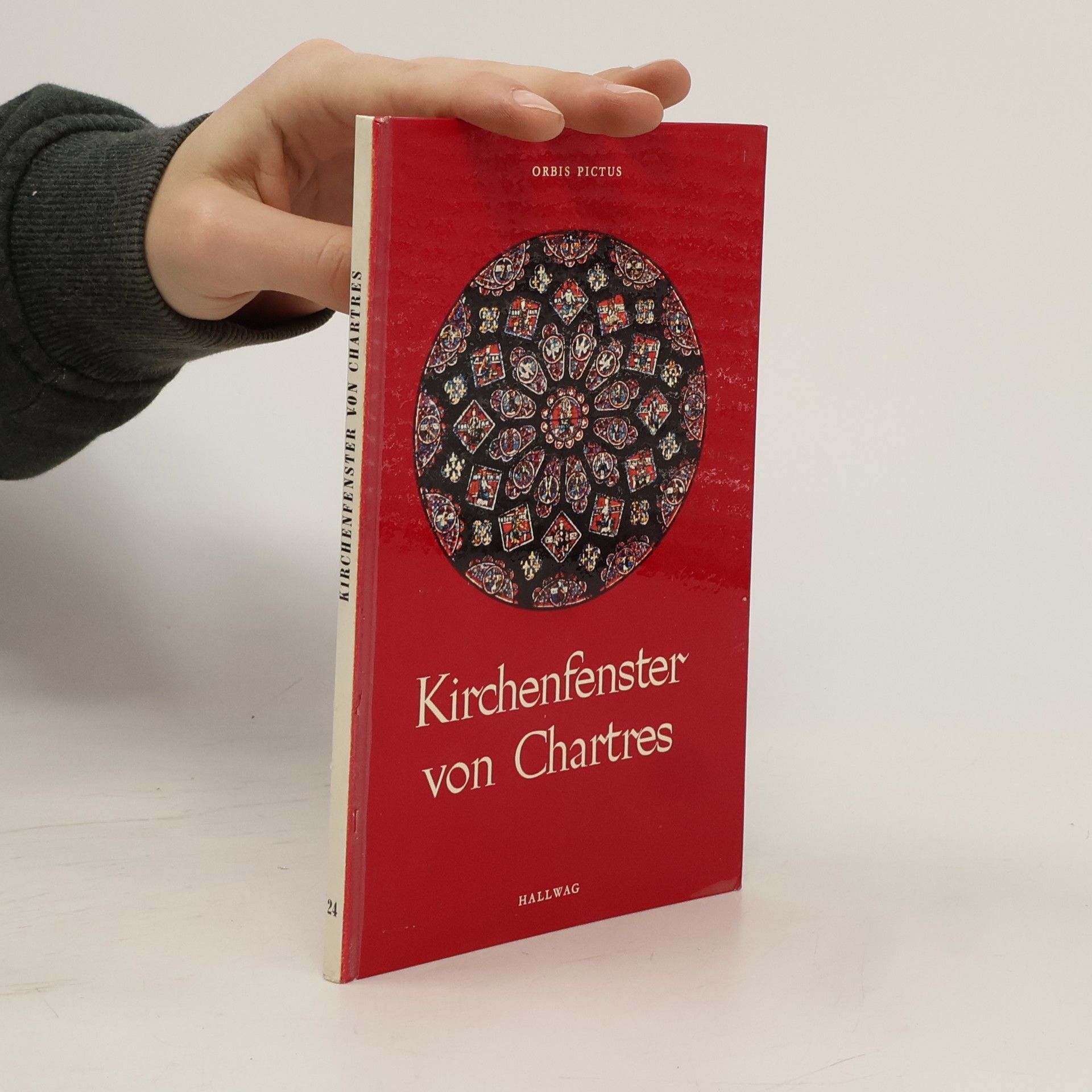 Orbis Fictus Kirchenfenster von Chartres