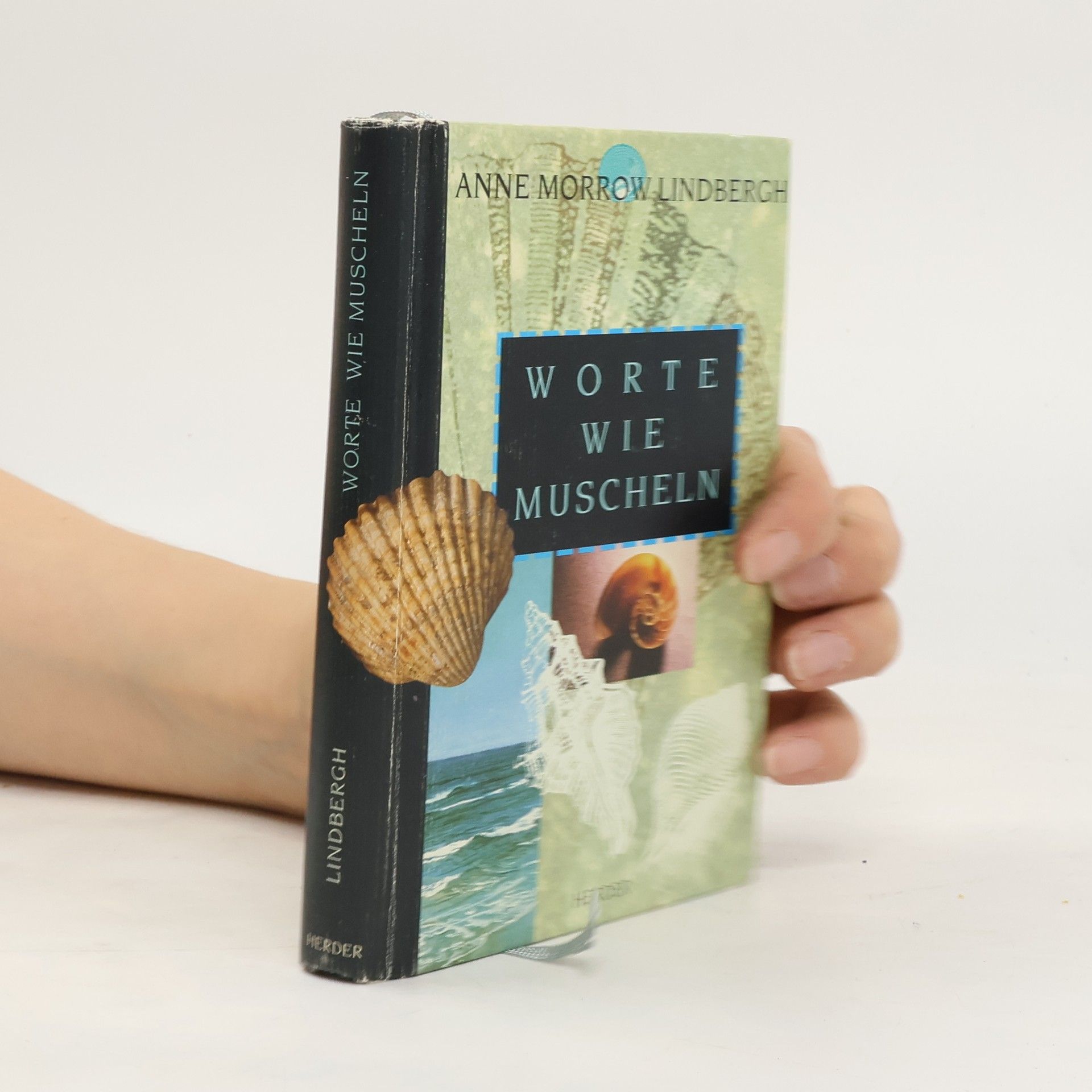 Anne Morrow Lindbergh Worte wie Muscheln