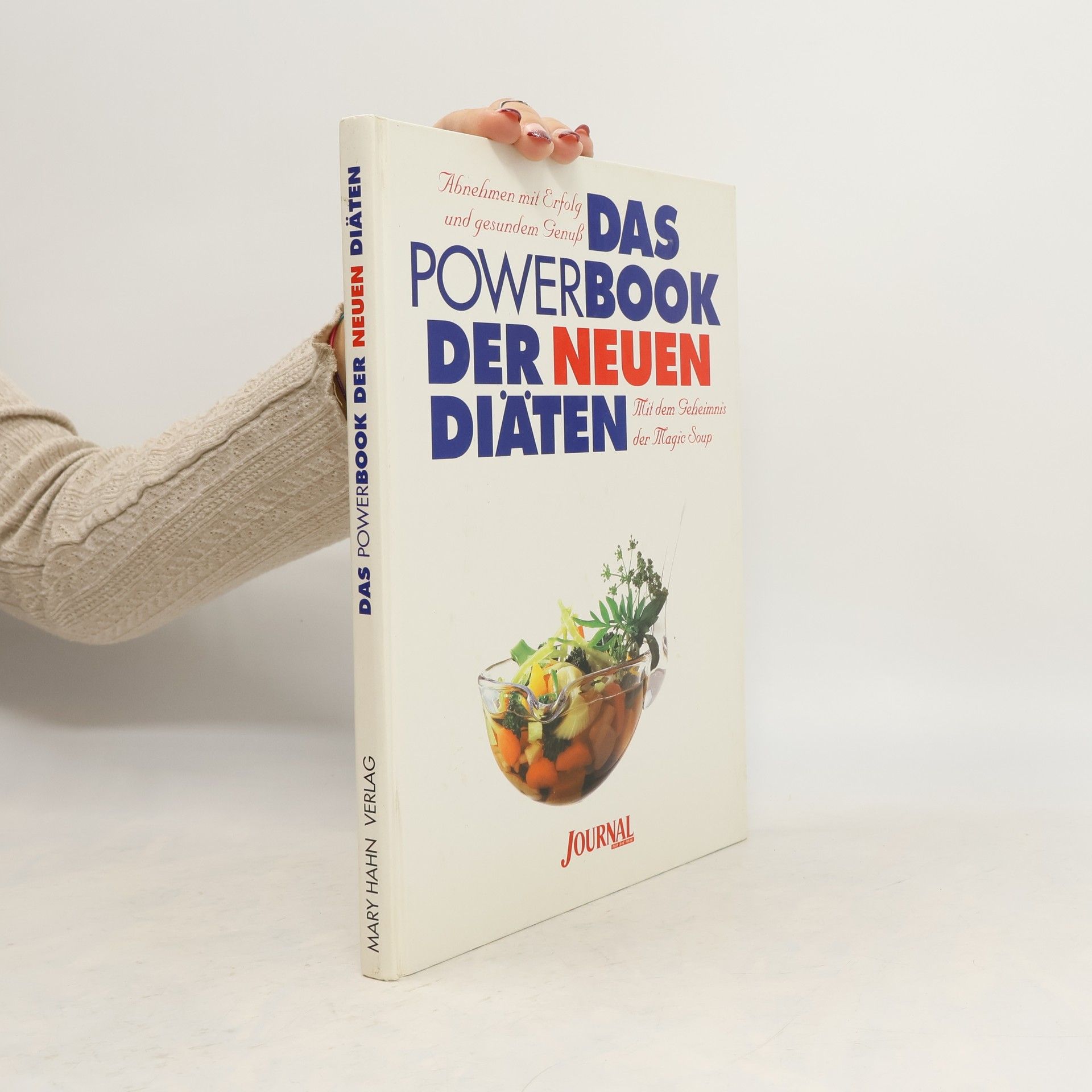 Birgit Zebothsen Das Powerbook der neuen Diäten