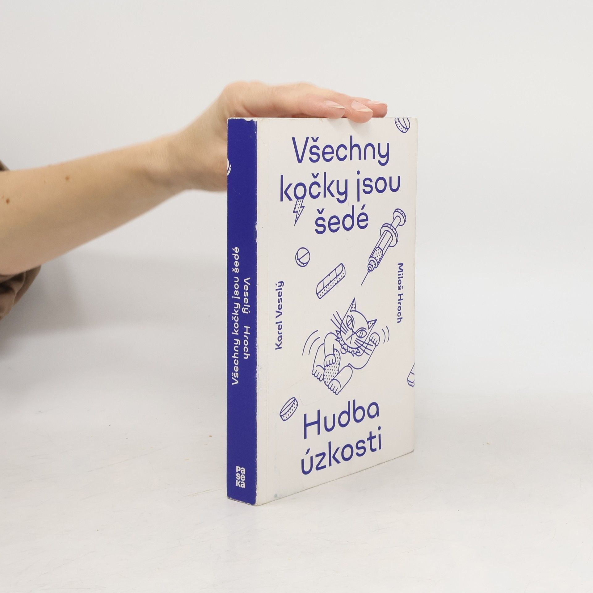 Všechny kočky jsou šedé