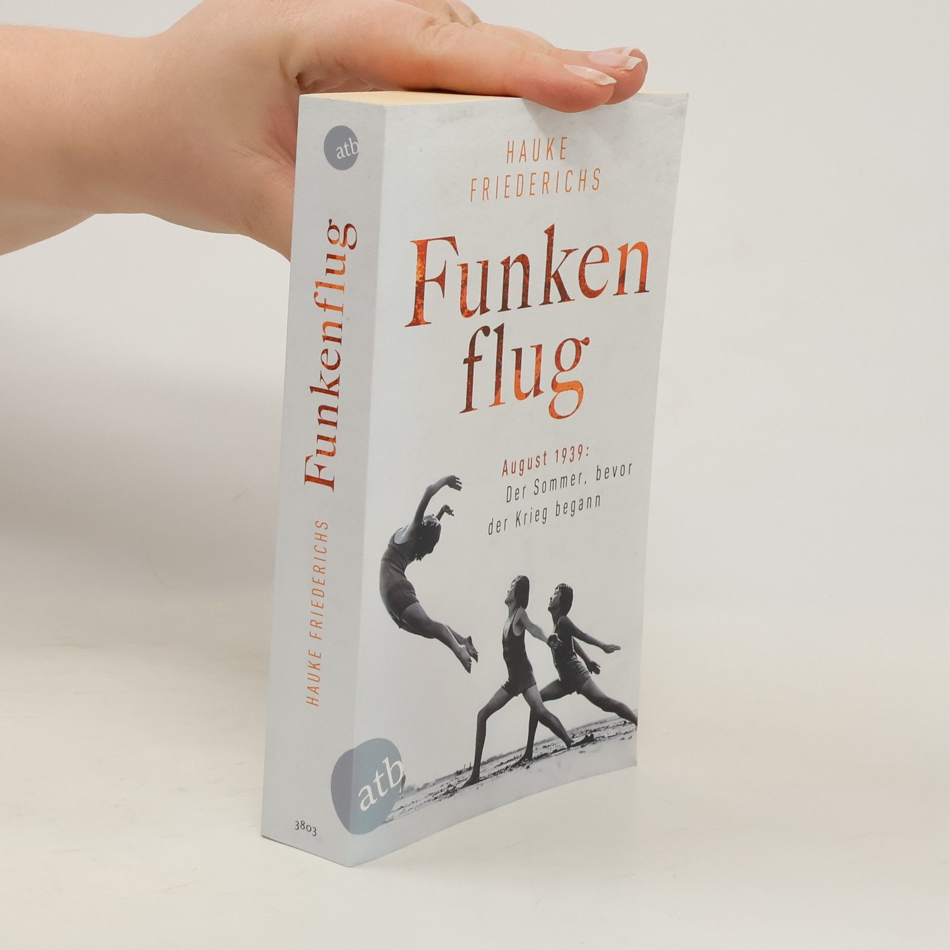 Hauke Friederichs Funkenflug