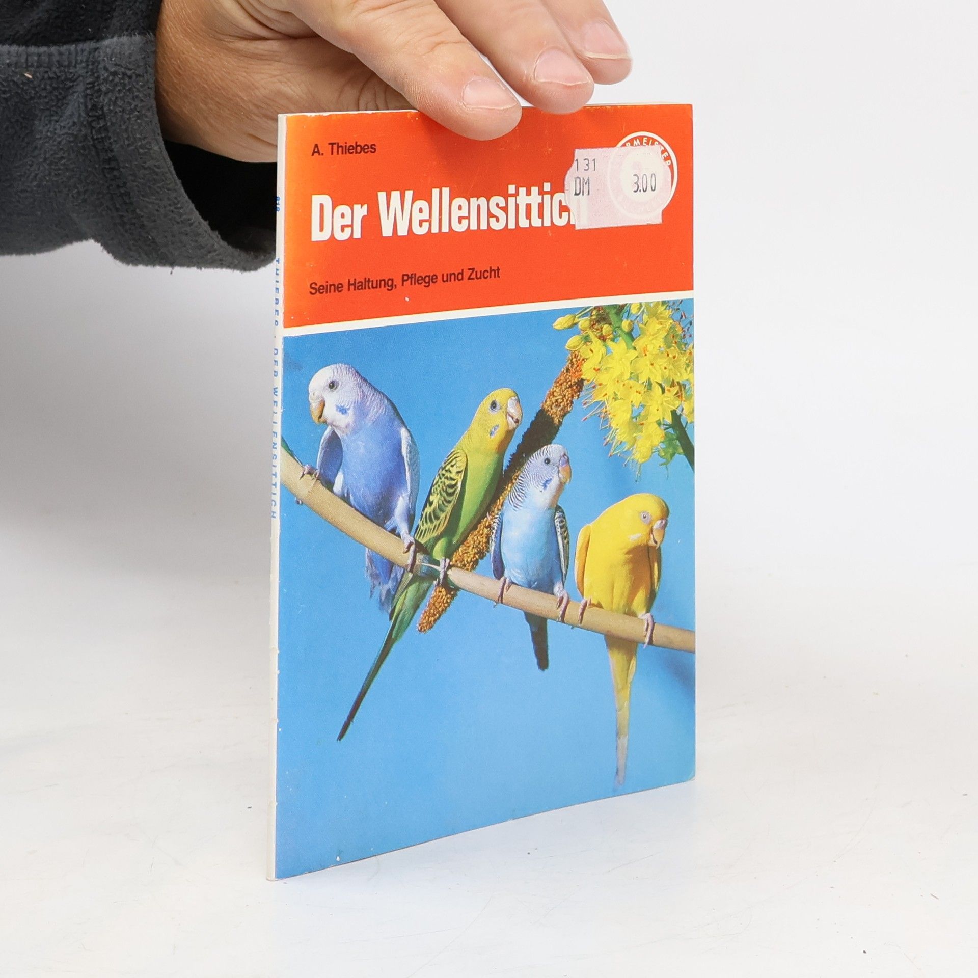 Albrecht Thiebes Der Wellensittich