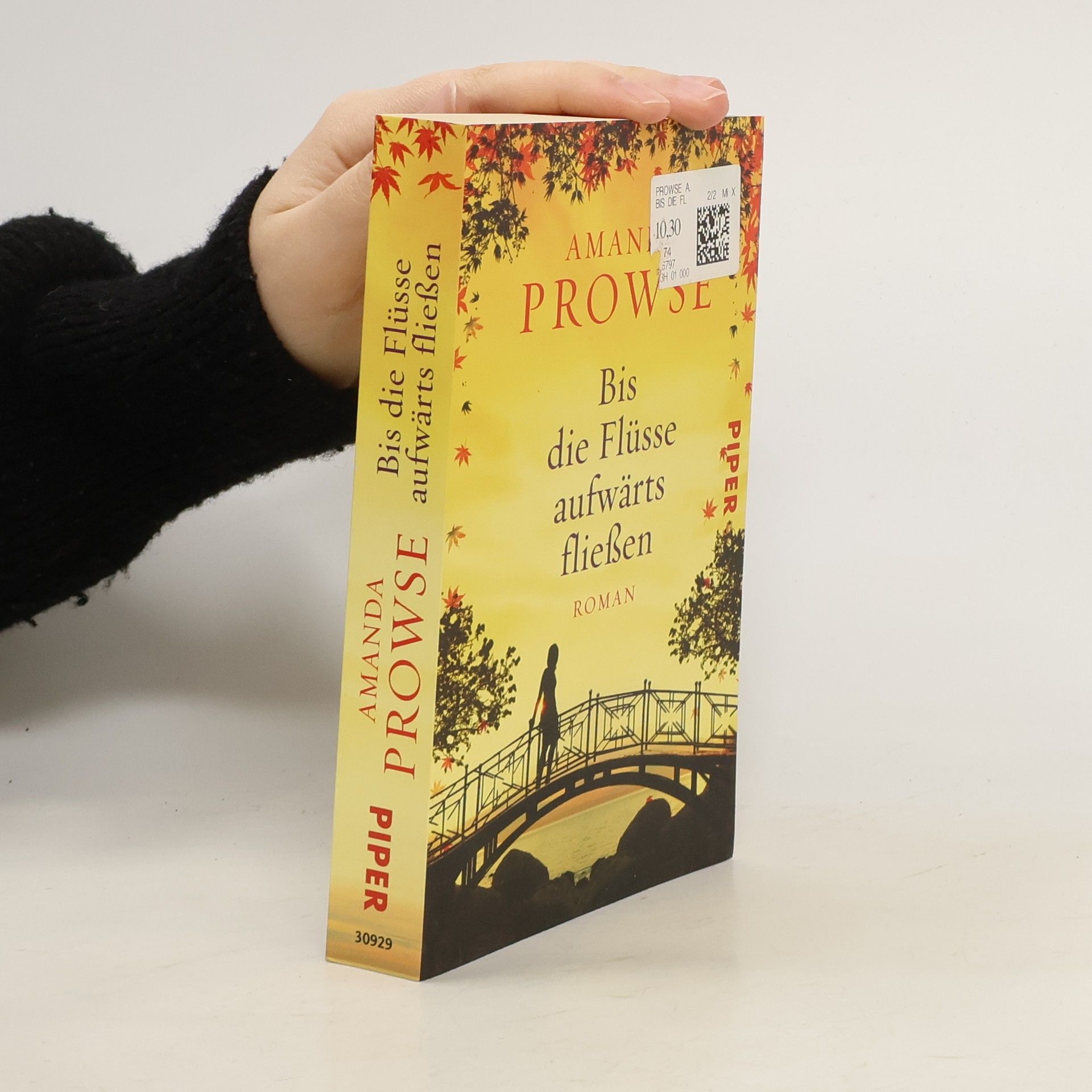 Bis die Flüsse aufwärts fließen