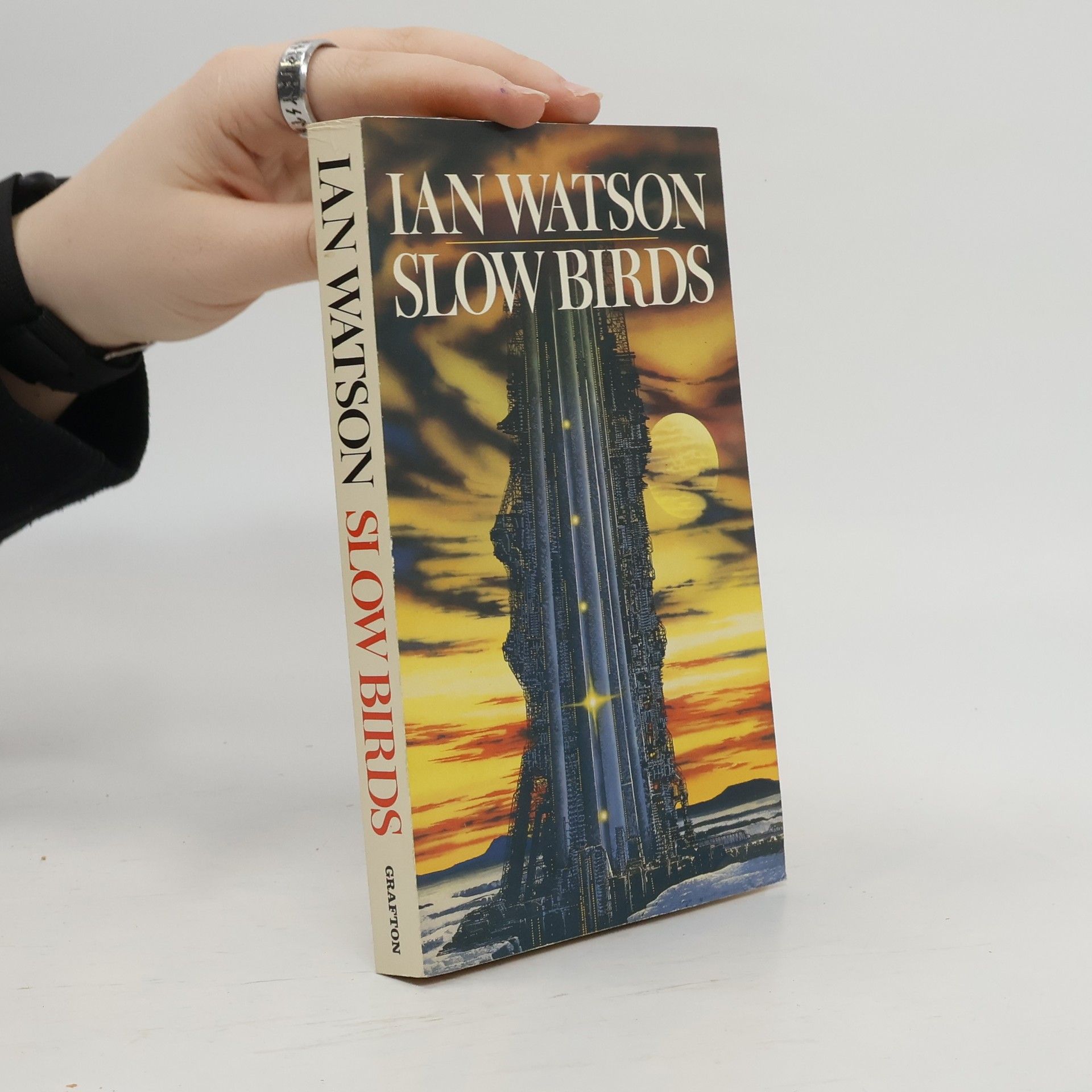 Ian Watson Slow Birds