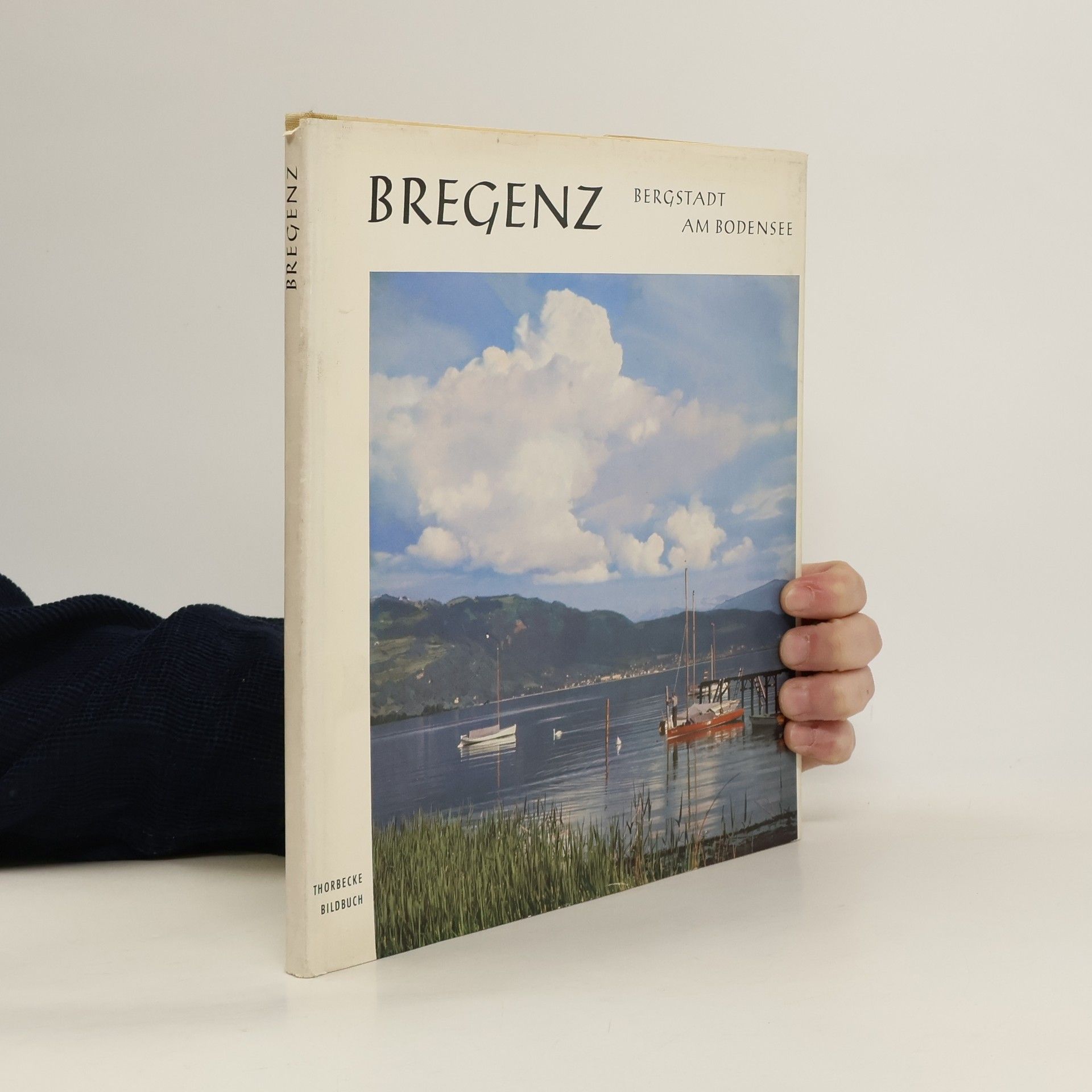 Oscar Sandner Bregenz. Bergstadt am Bodensee