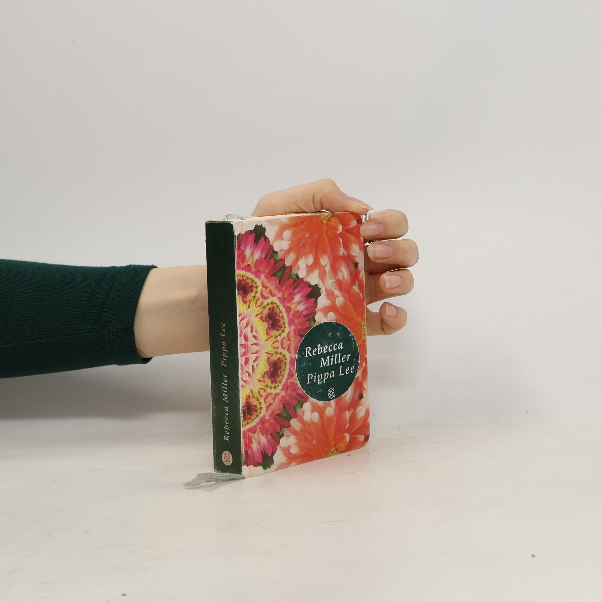 Rebecca Miller Pippa Lee