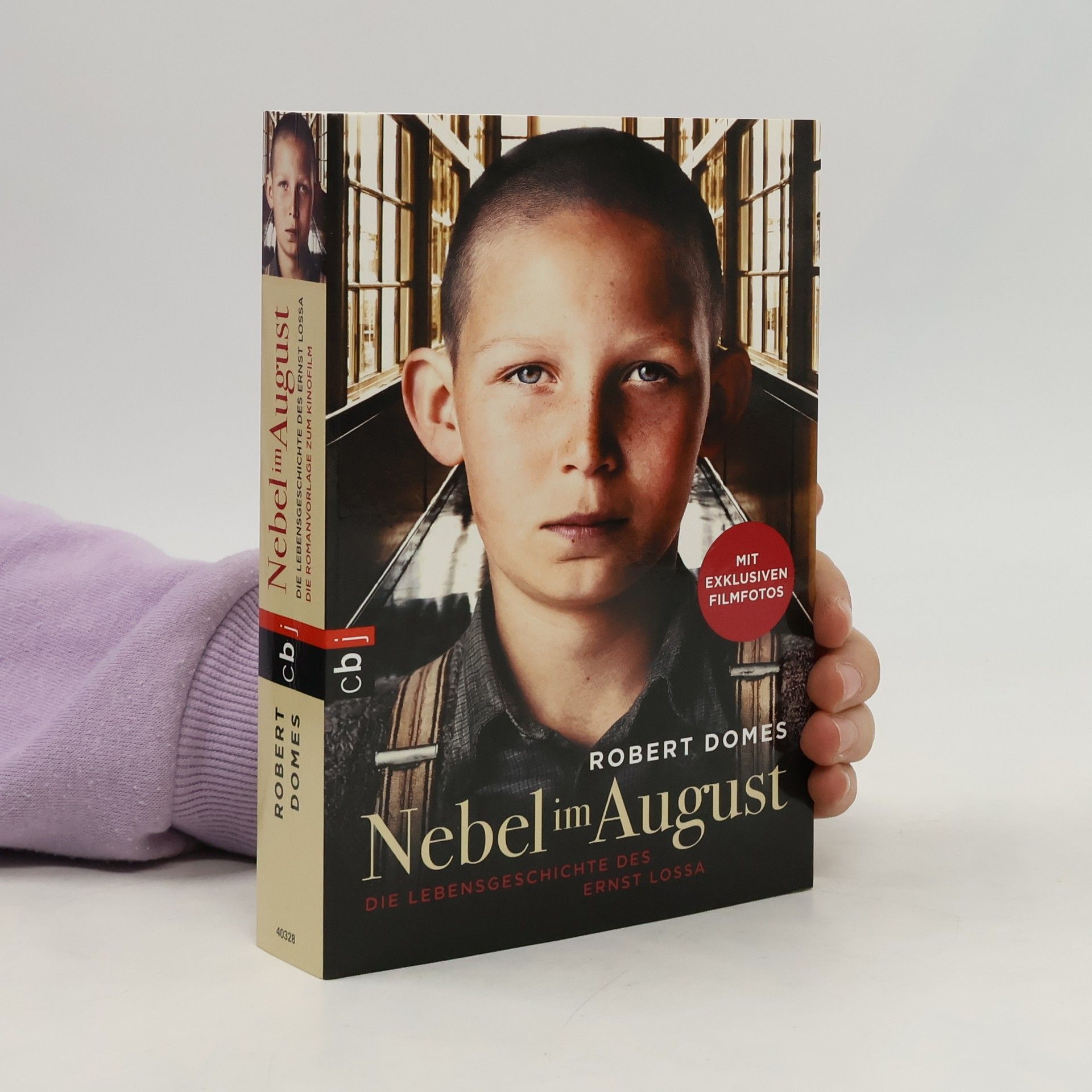 Robert Domes Nebel im August