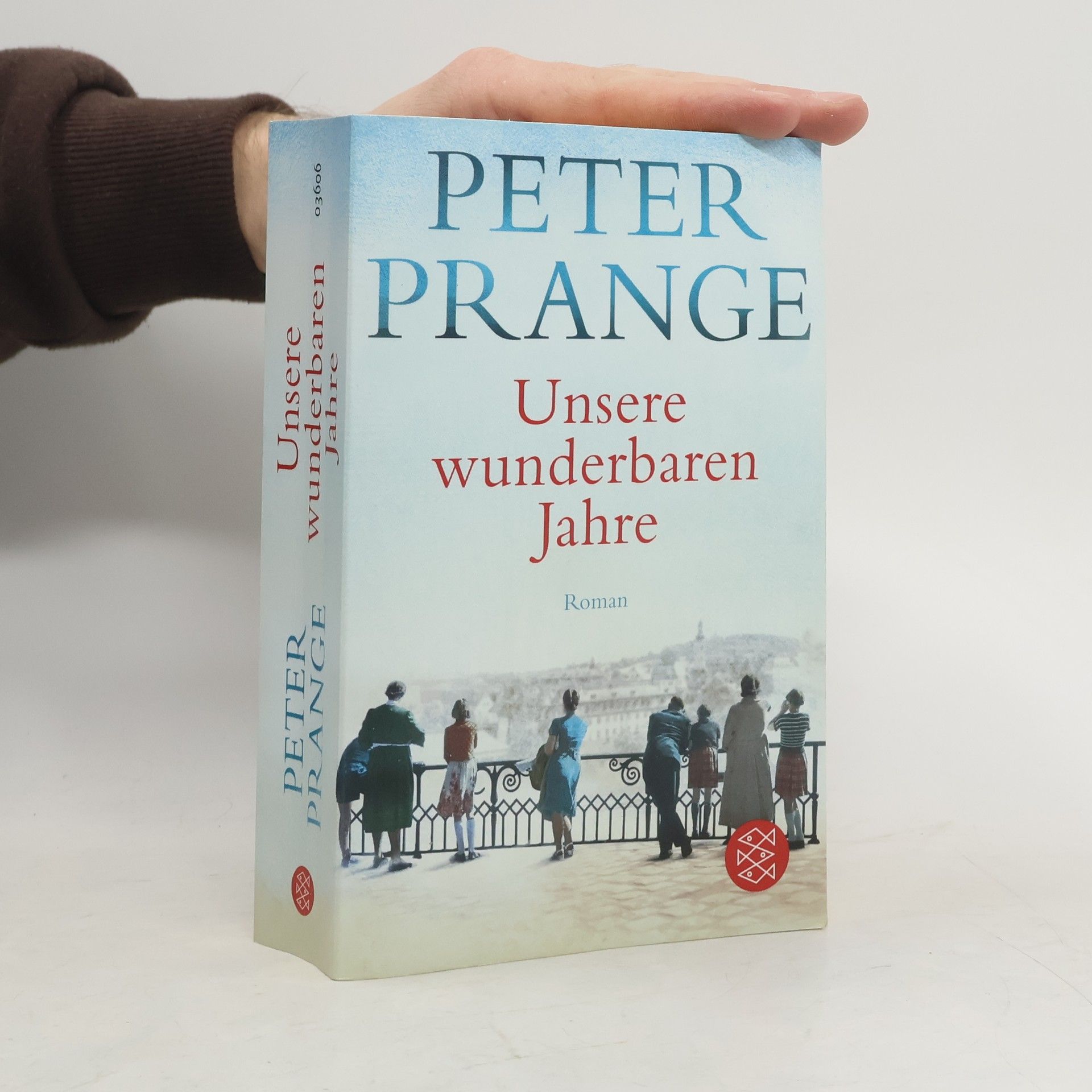 Peter Prange Unsere wunderbaren Jahre