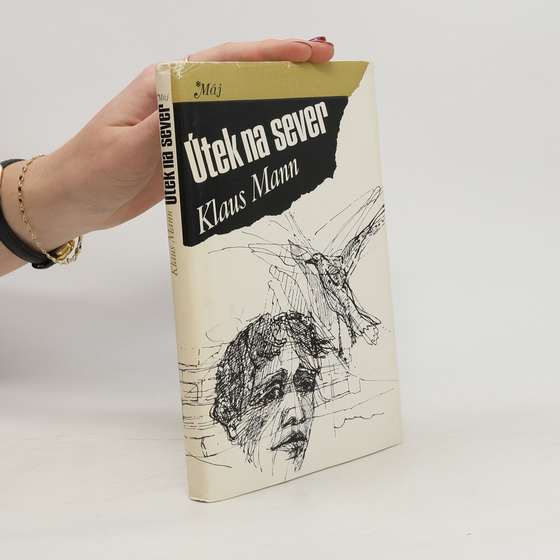 Erika Mann Útek na sever