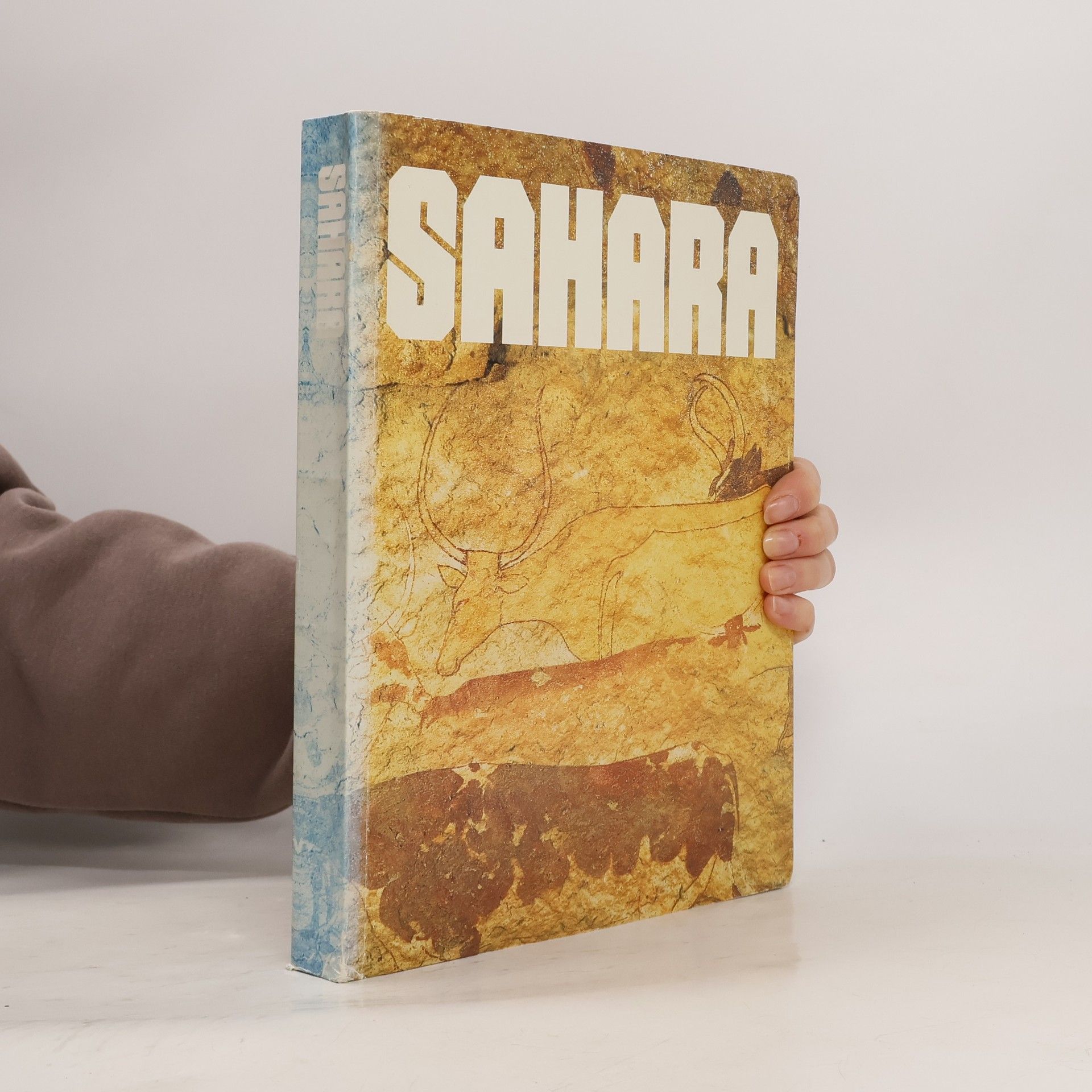 Kolektiv autorů Sahara